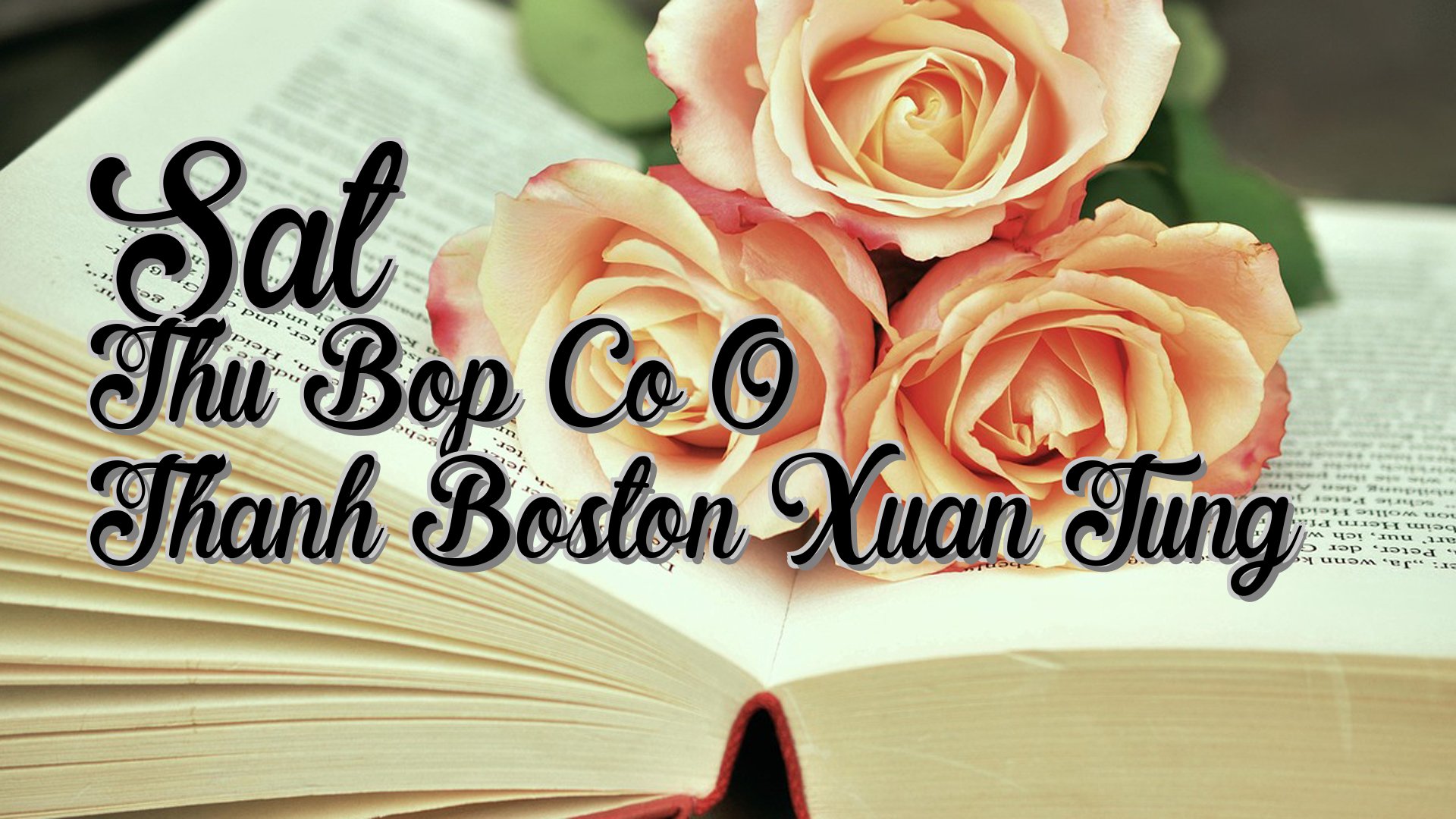 cover-Sat Thu Bop Co O Thanh Boston Xuan Tung