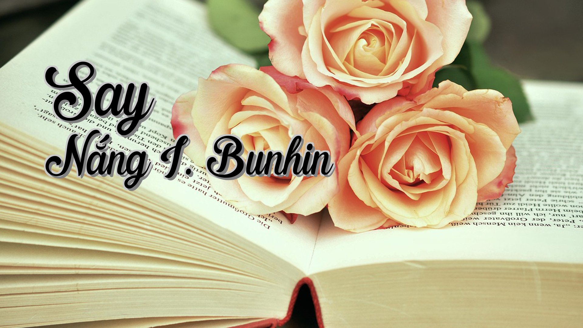 cover-Say Nắng I. Bunhin