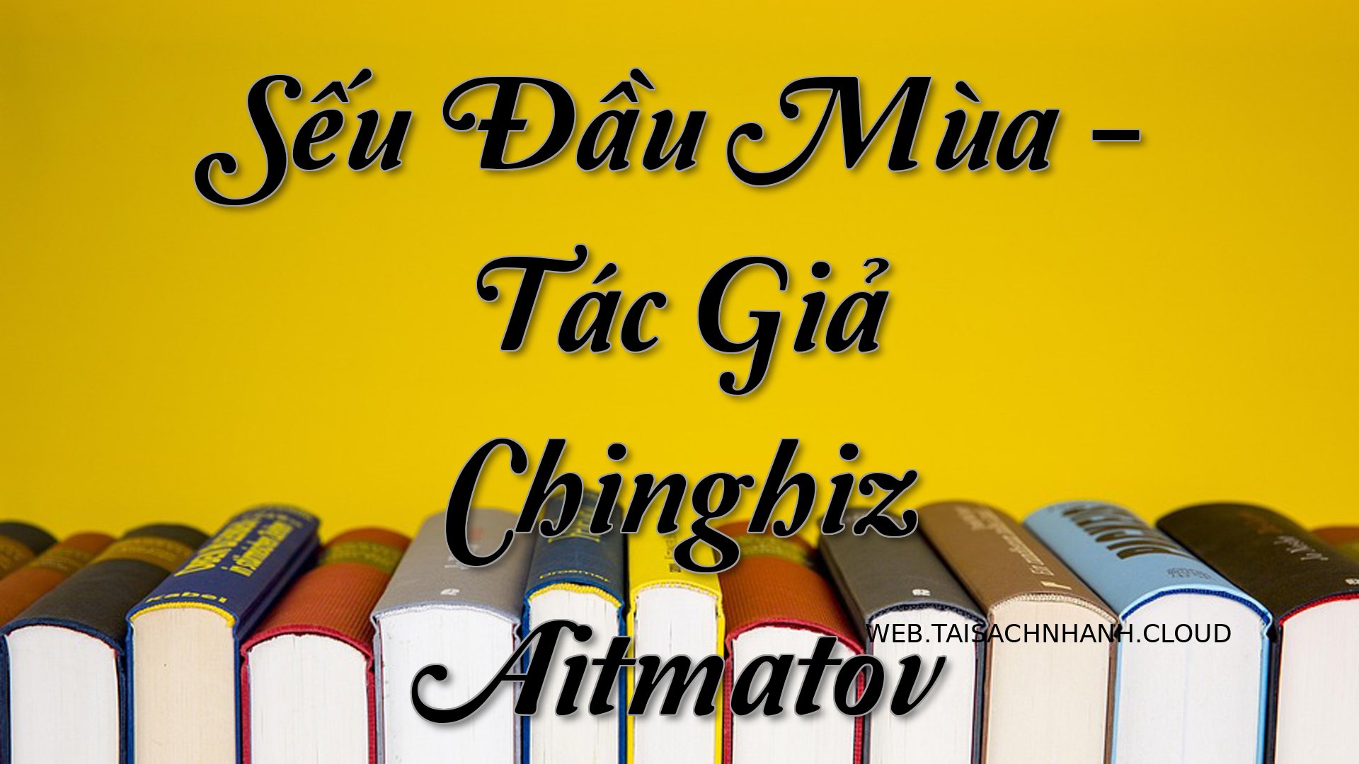 Cover Seu Dau Mua.jpg