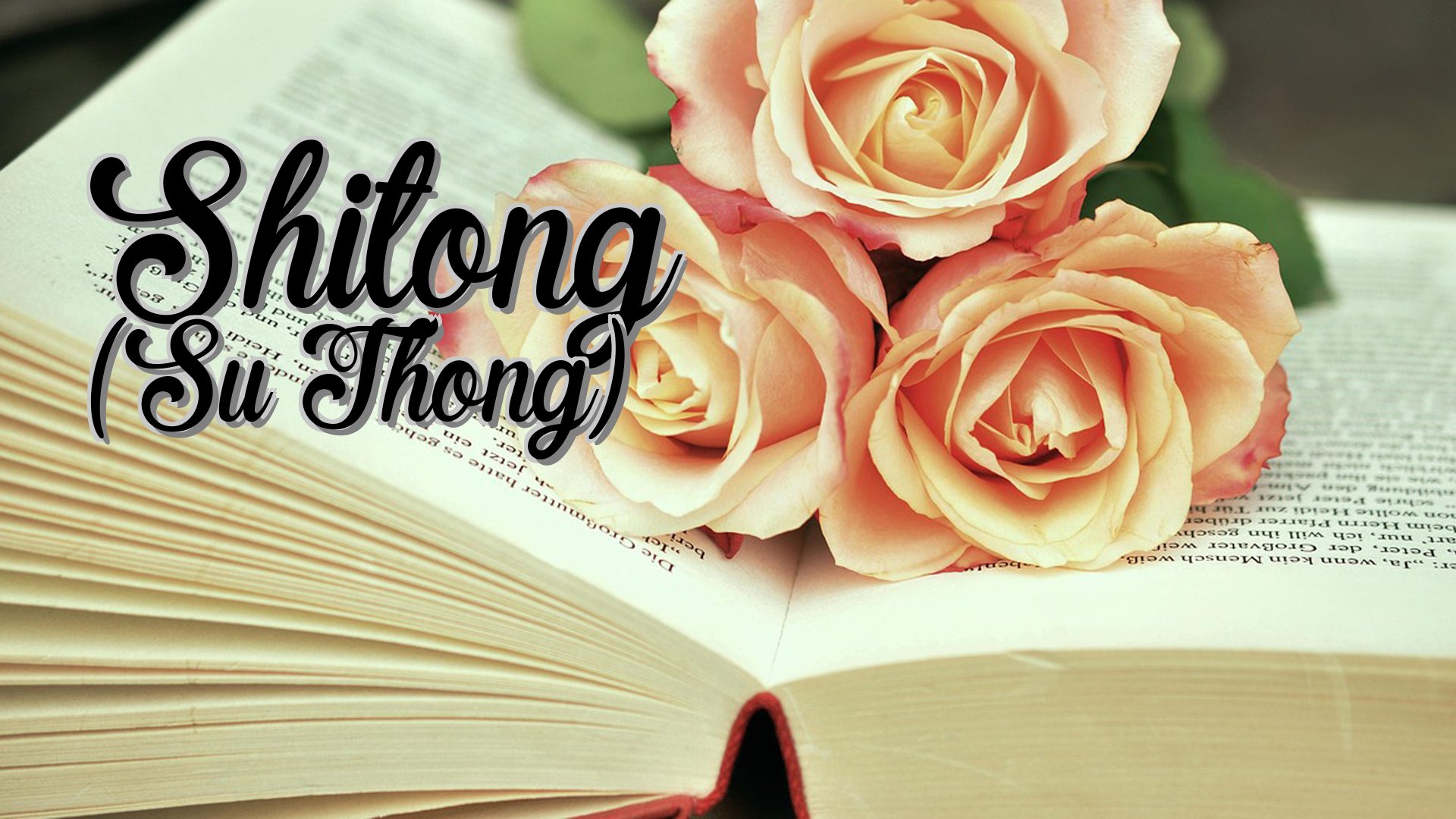 cover-Shitong (Su Thong)