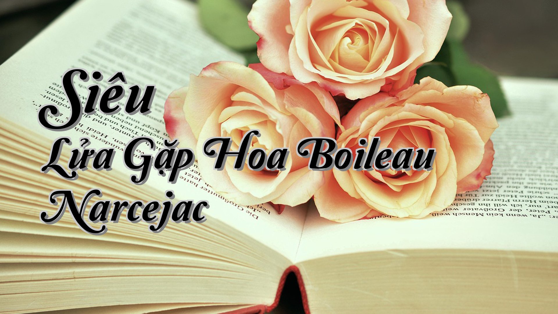 cover-Siêu Lửa Gặp Hoa Boileau Narcejac