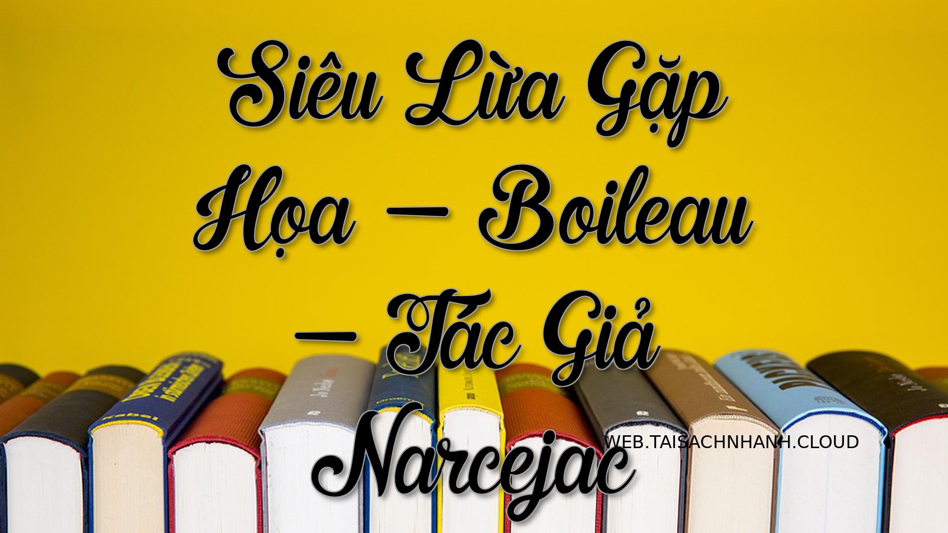 Cover Sieu Lua Gap Hoa.jpg