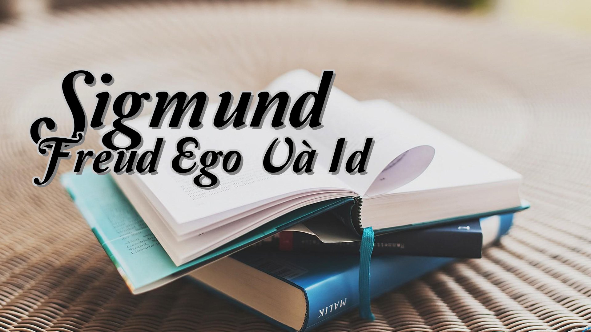 cover-Sigmund Freud Ego Và Id