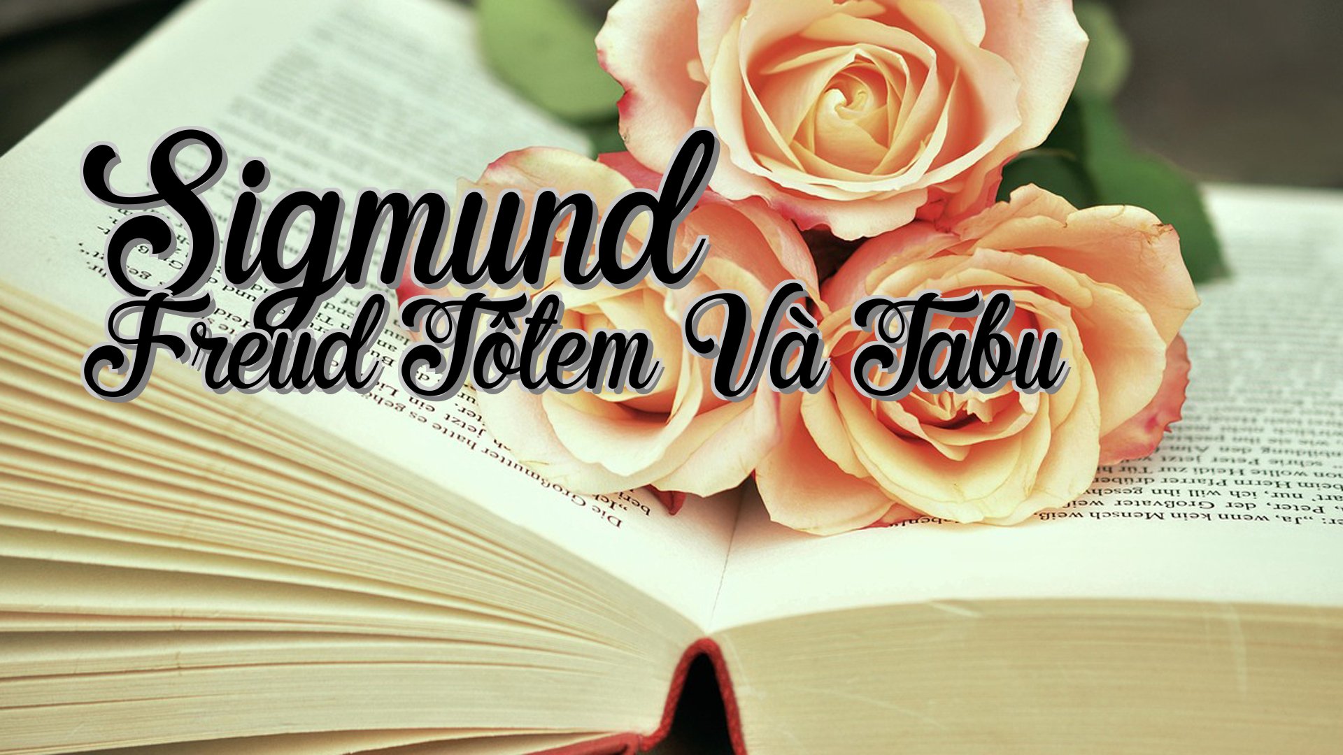 cover-Sigmund Freud Tôtem Và Tabu