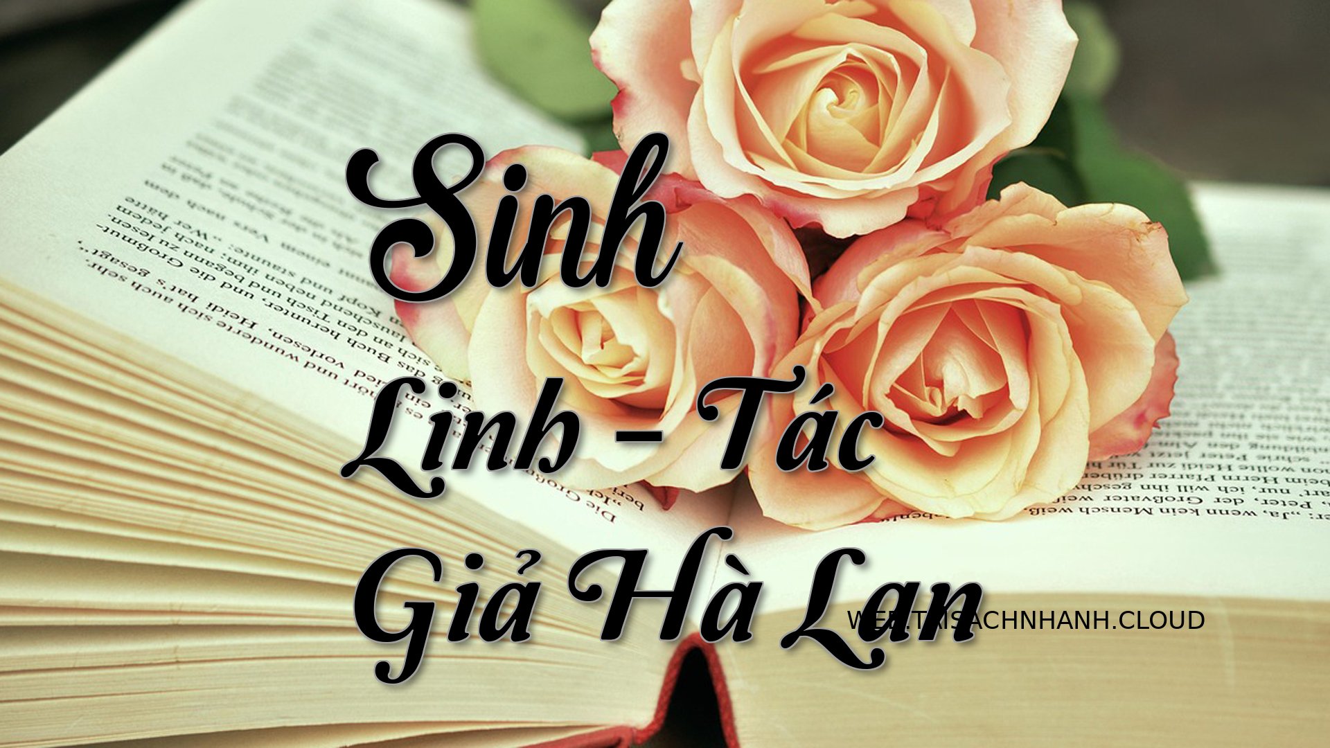 Cover Sinh Linh.jpg
