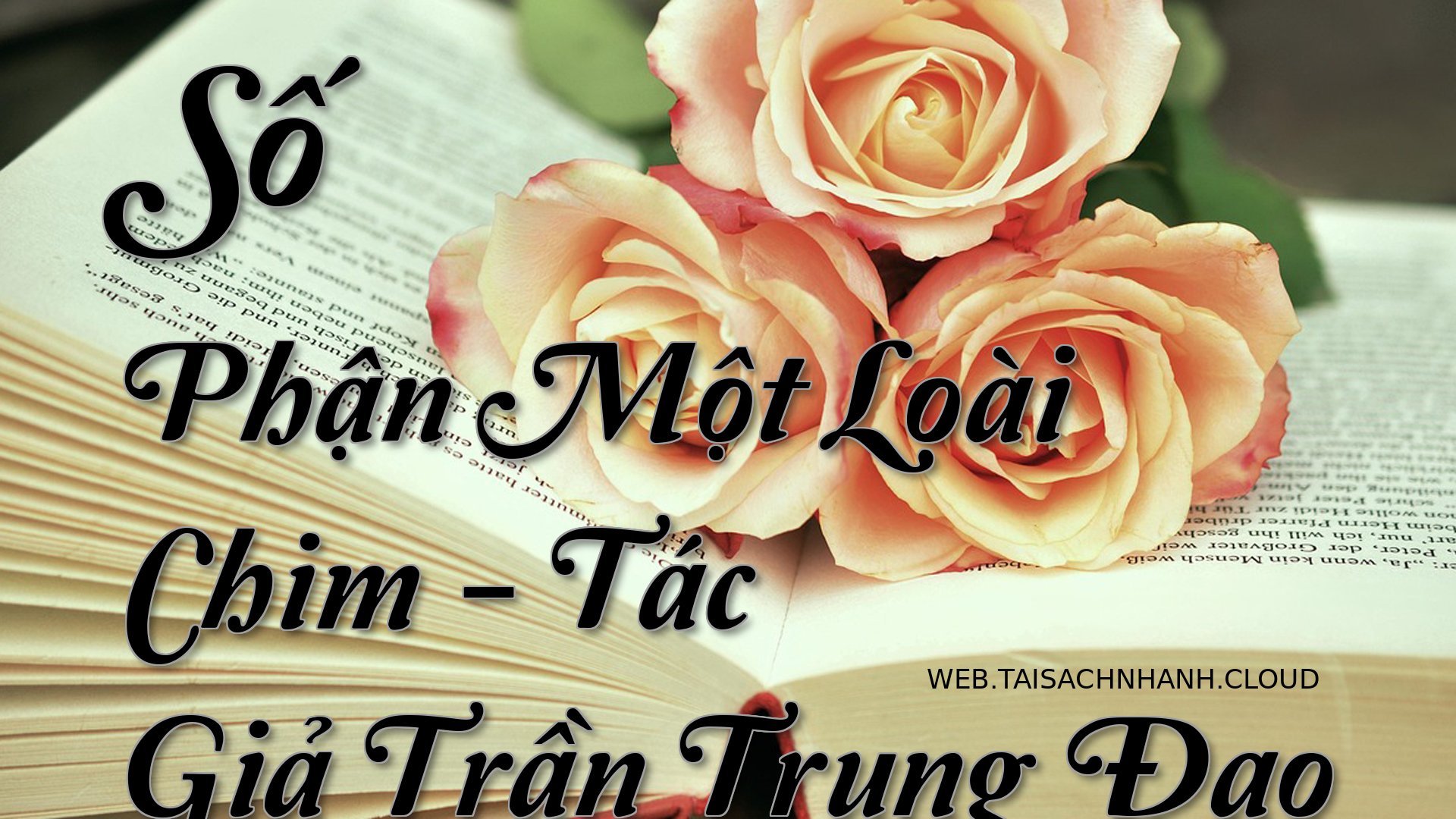 Cover So Phan Mot Loai Chi.jpg