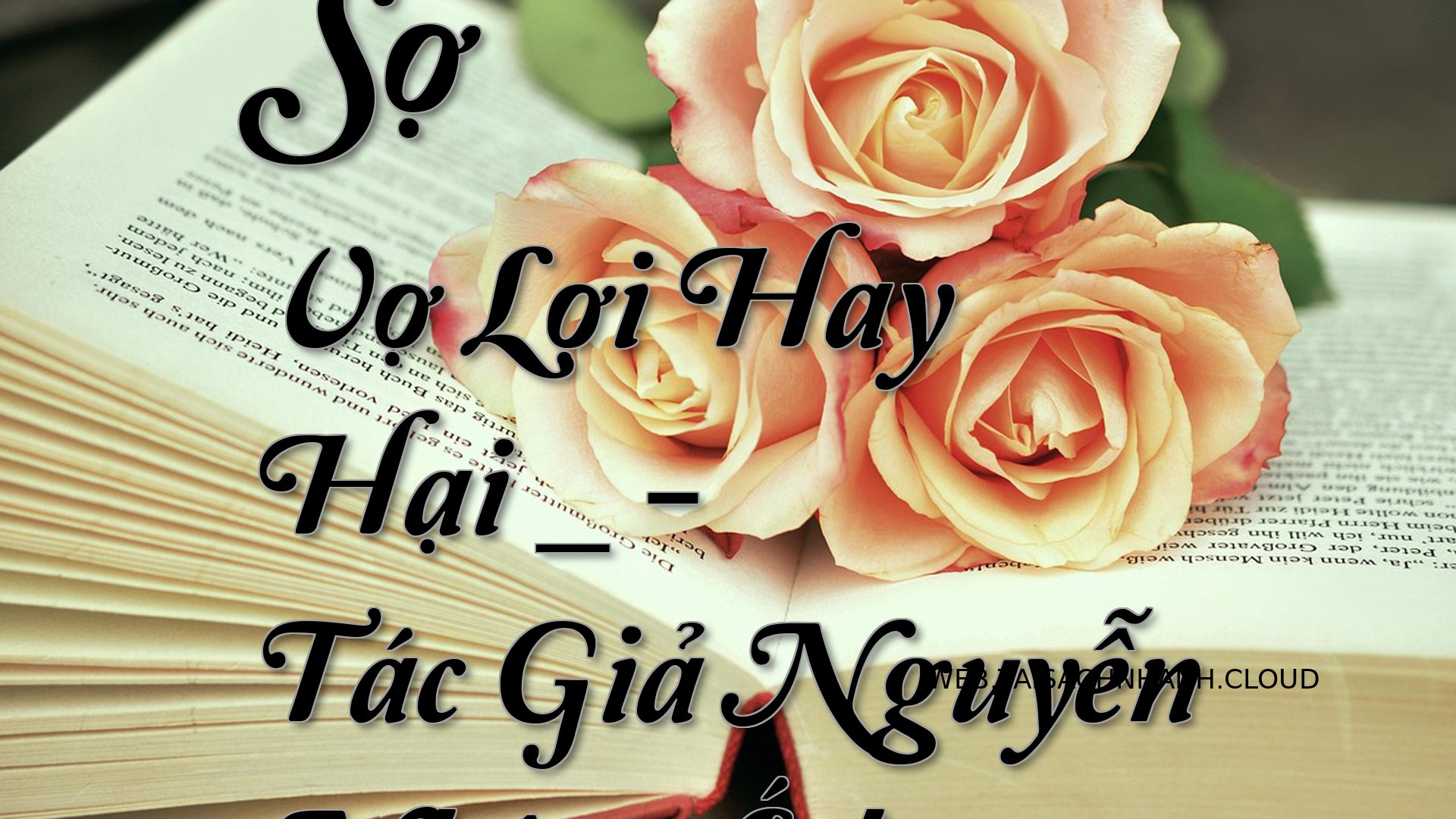 Cover So Vo Loi Hay Hai .jpg