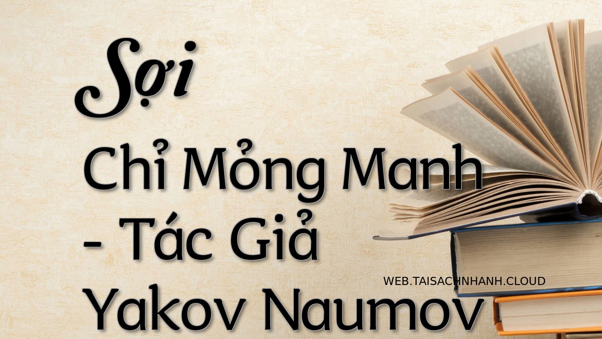 Cover Soi Chi Mong Manh.jpg