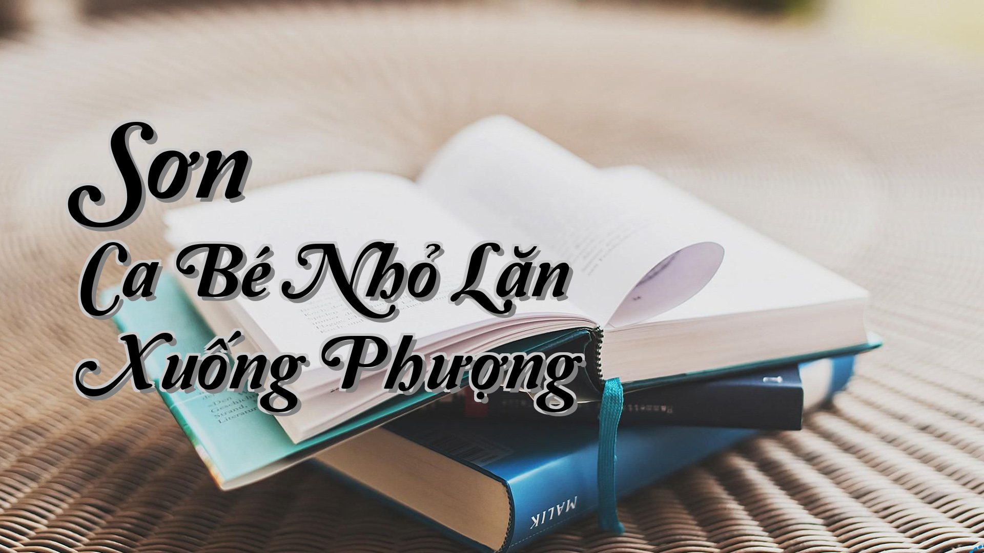 cover-Sơn Ca Bé Nhỏ Lặn Xuống Phượng