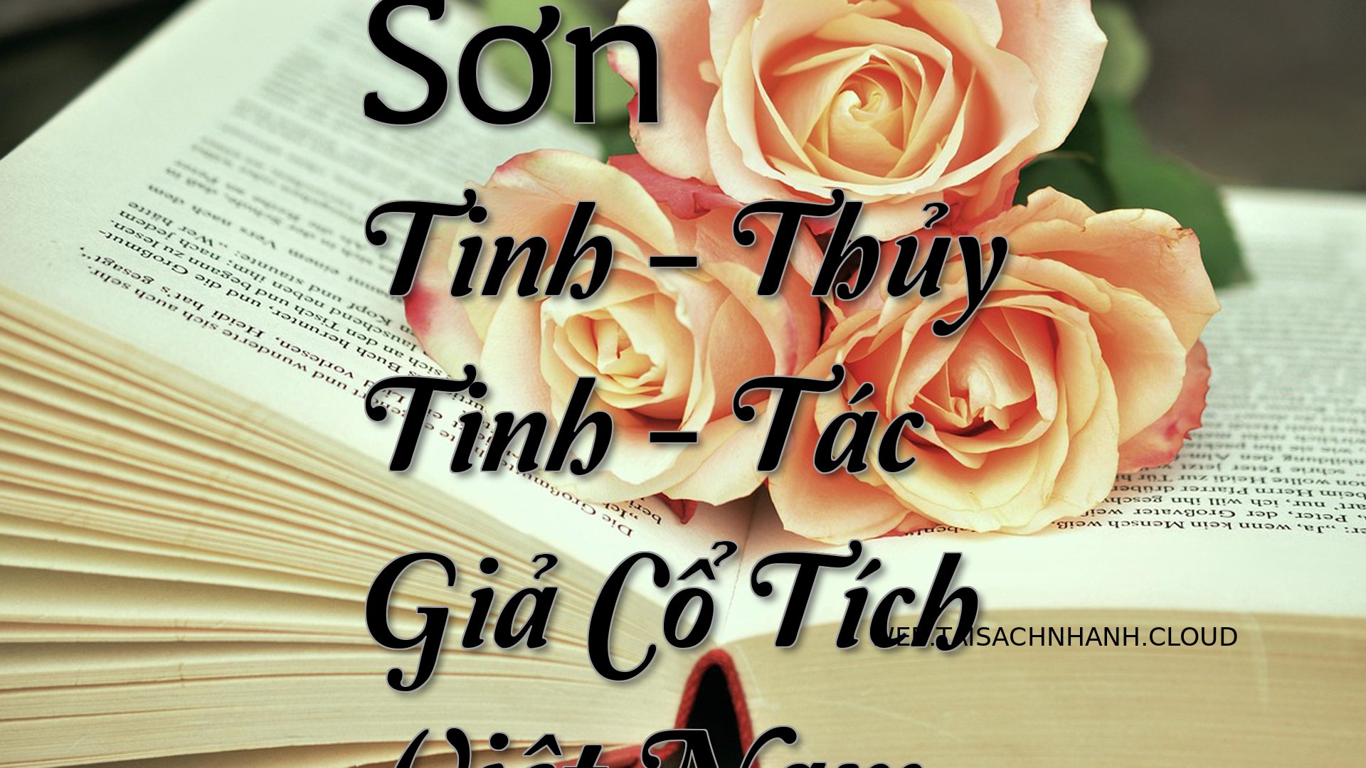 Cover Son Tinh.jpg