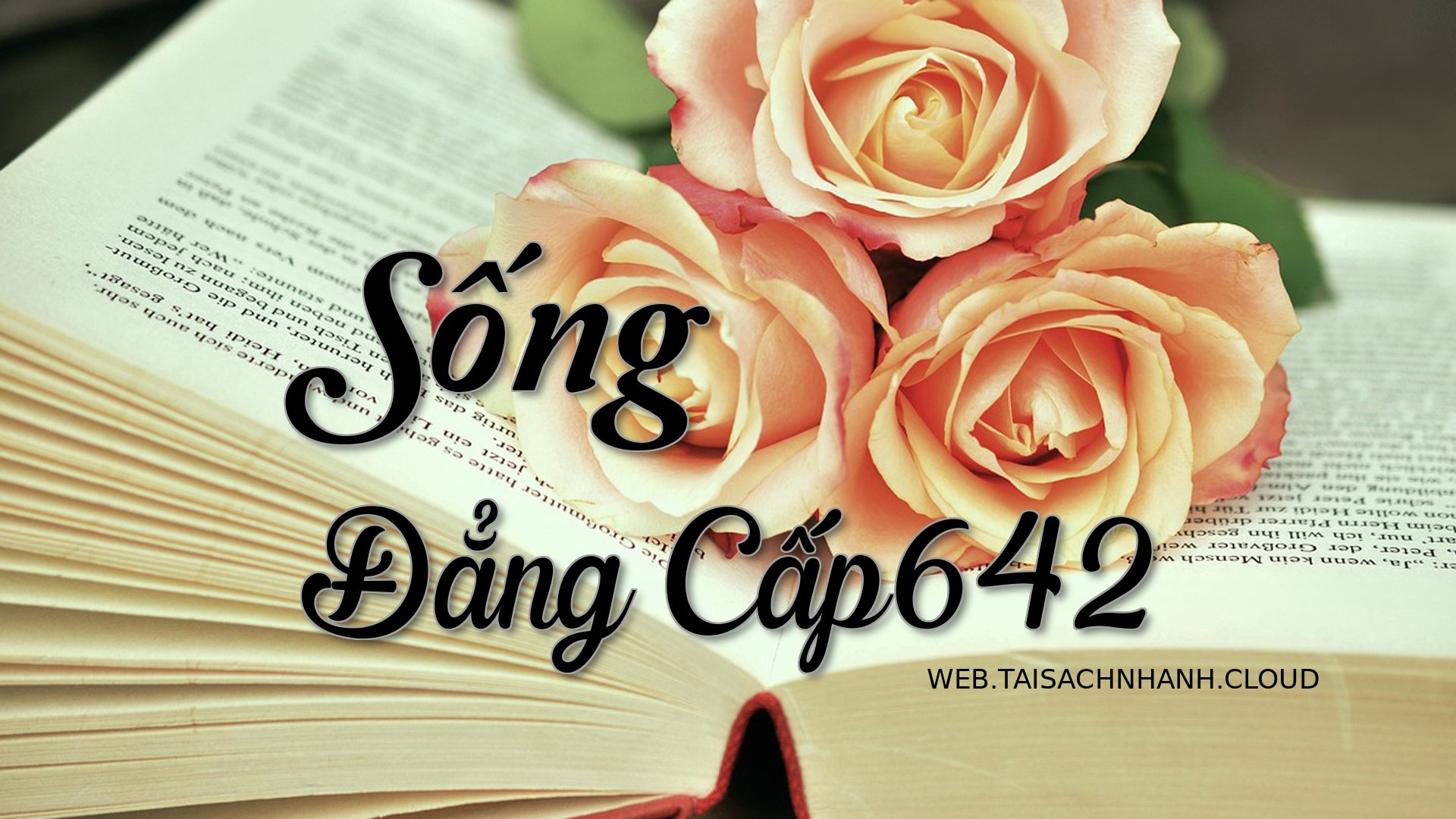 Cover Song Dang Cap642.jpg