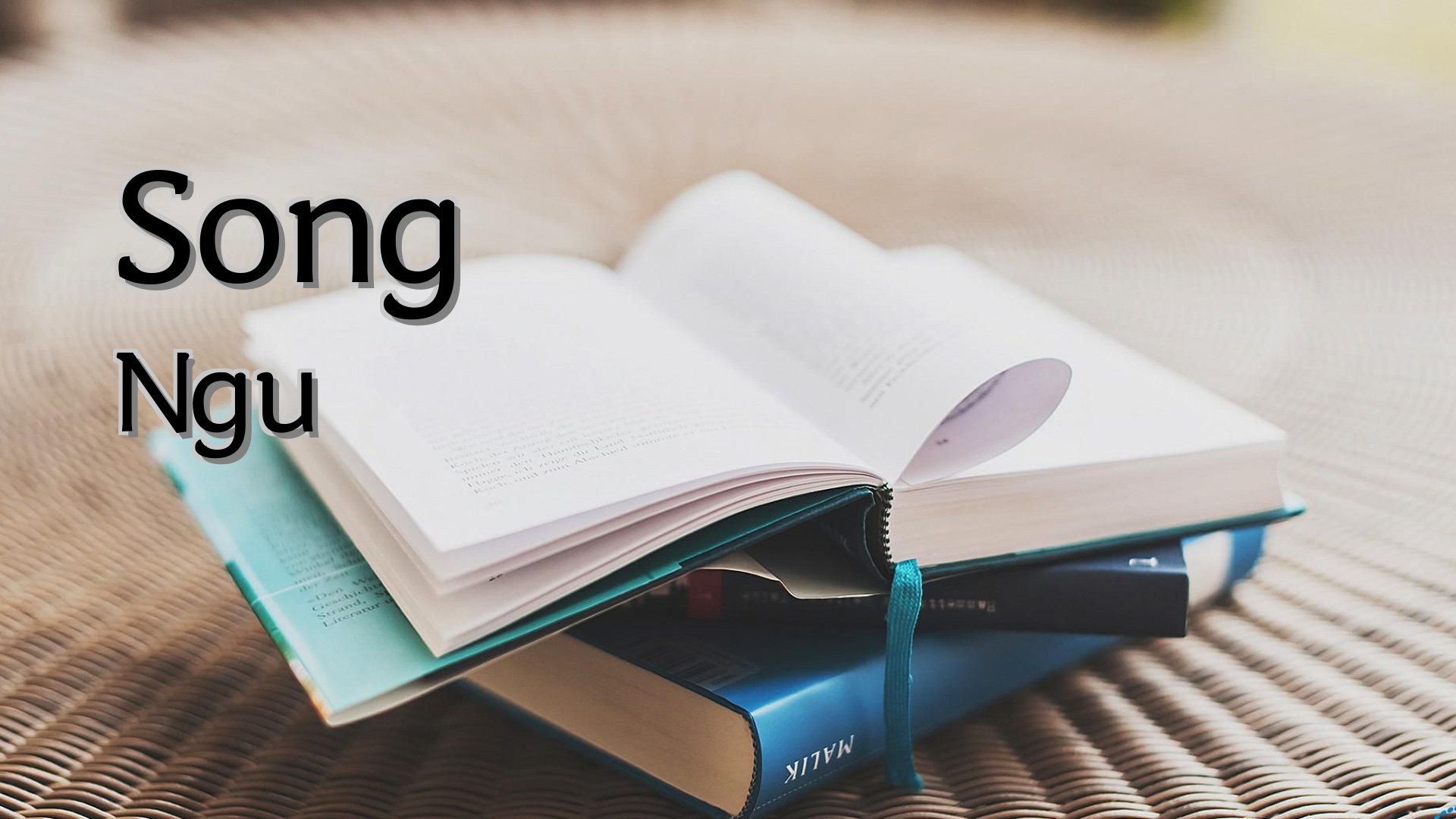 Cover image for Song Ngu