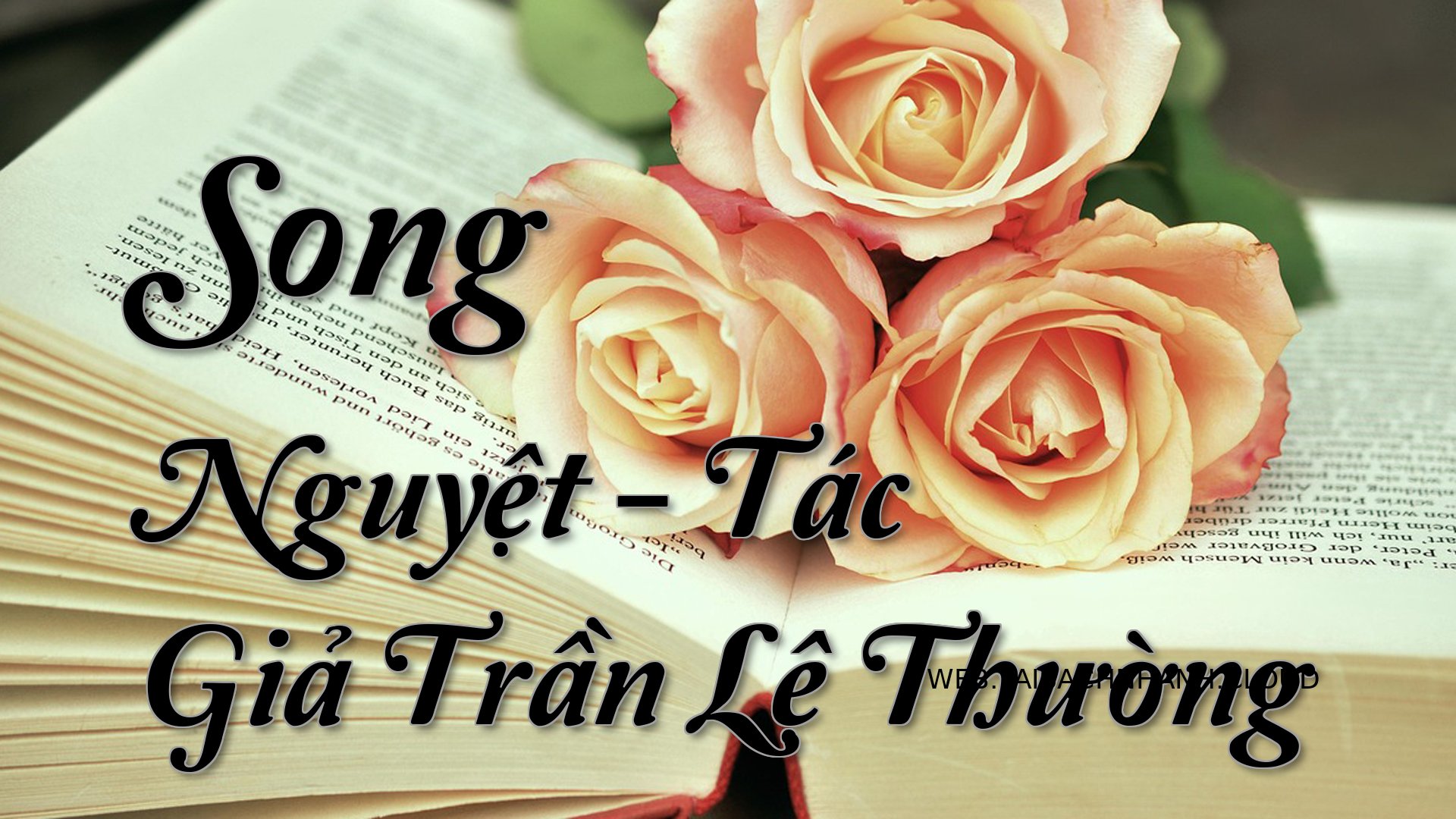 Cover Song Nguyet.jpg