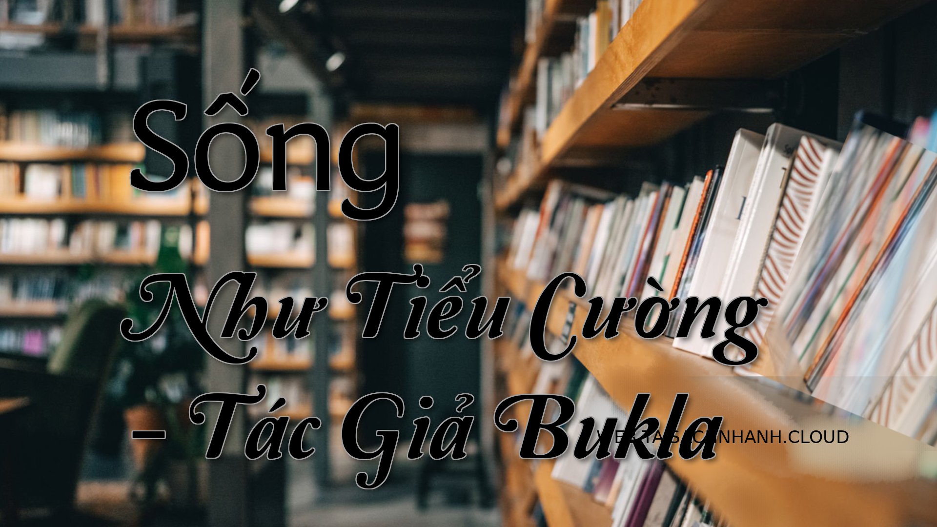 Cover Song Nhu Tieu Cuong.jpg