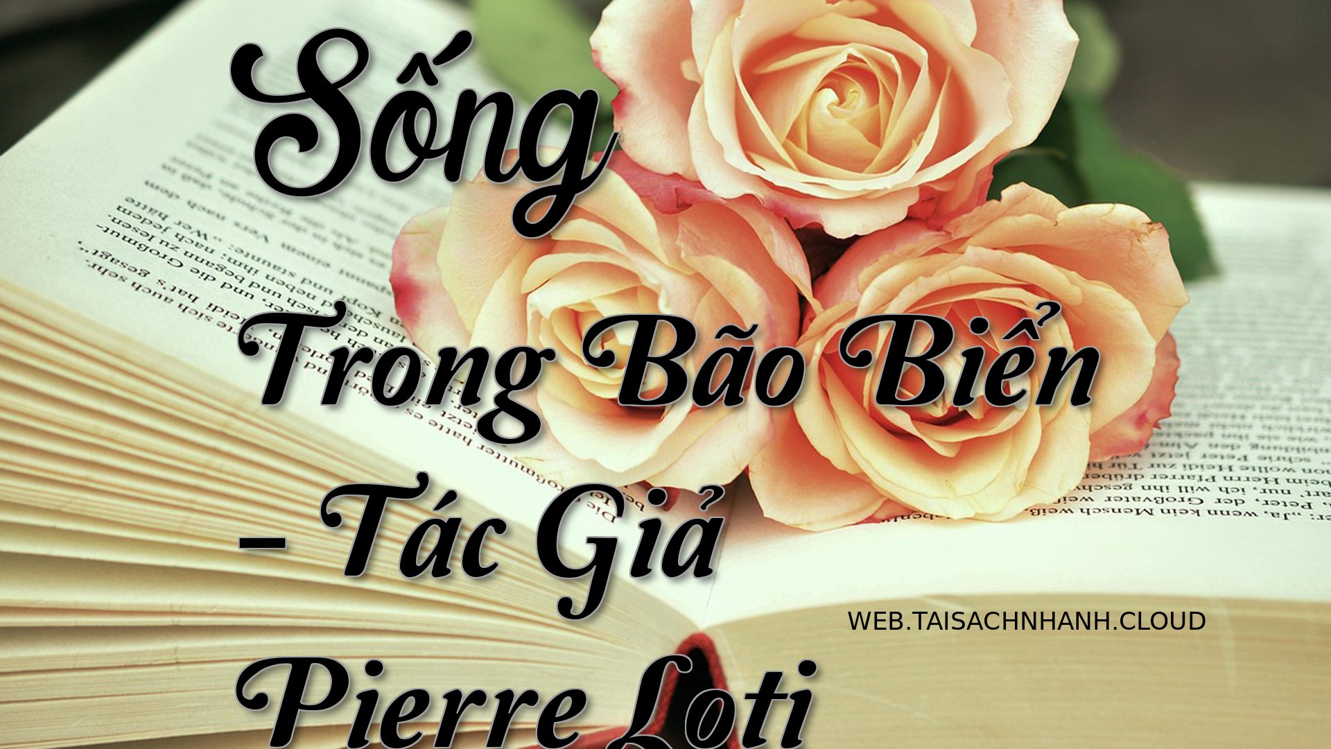 Cover Song Trong Bao Bien.jpg
