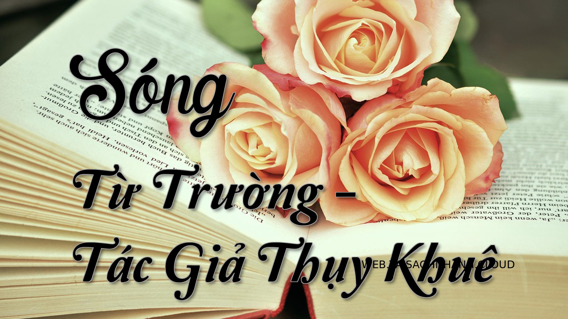 Cover Song Tu Truong.jpg