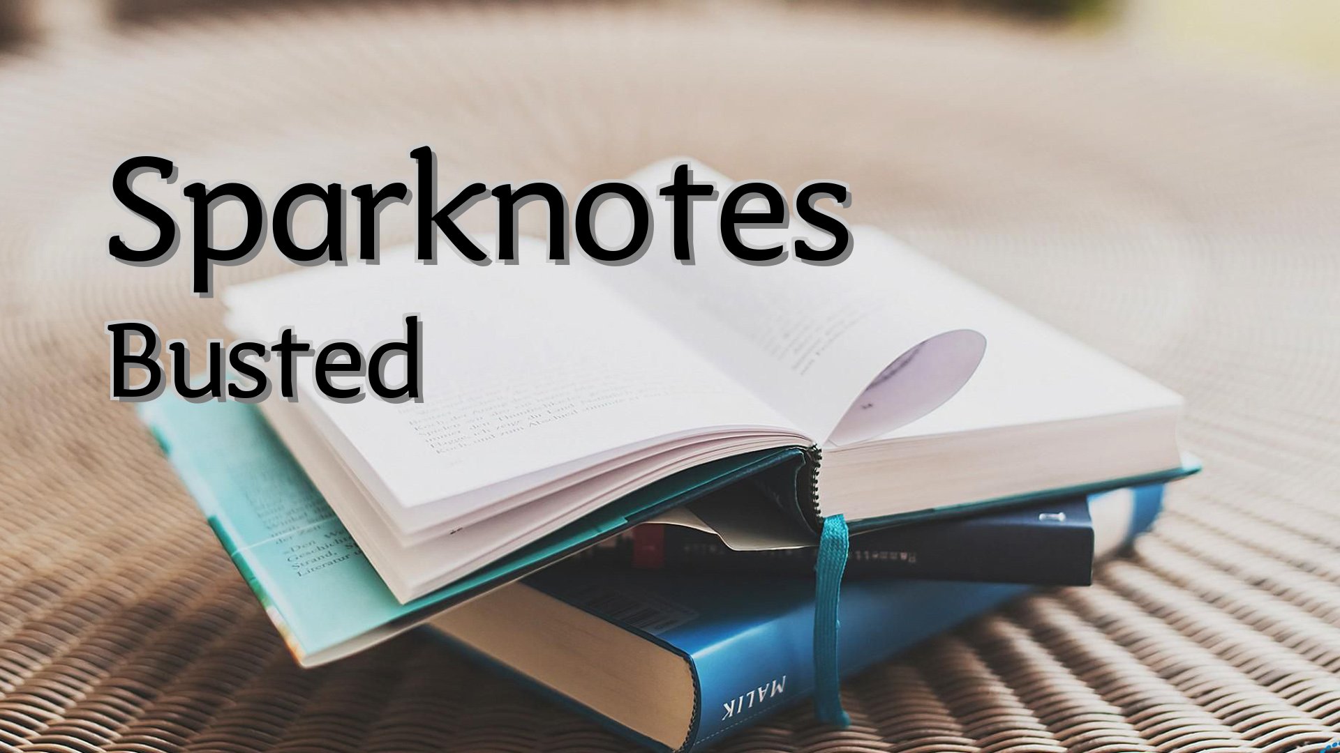 cover-Sparknotes Busted