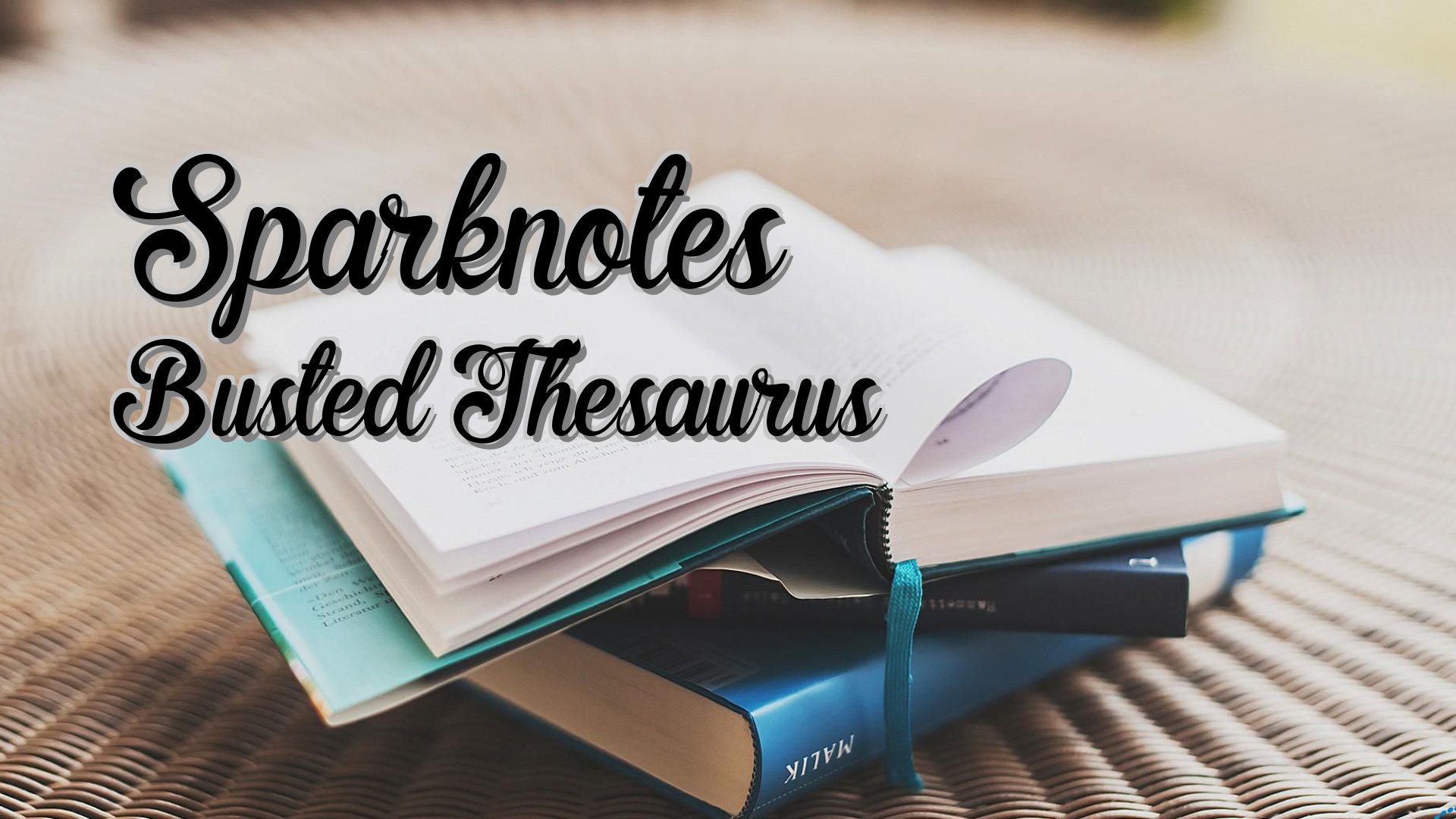 cover-Sparknotes Busted Thesaurus