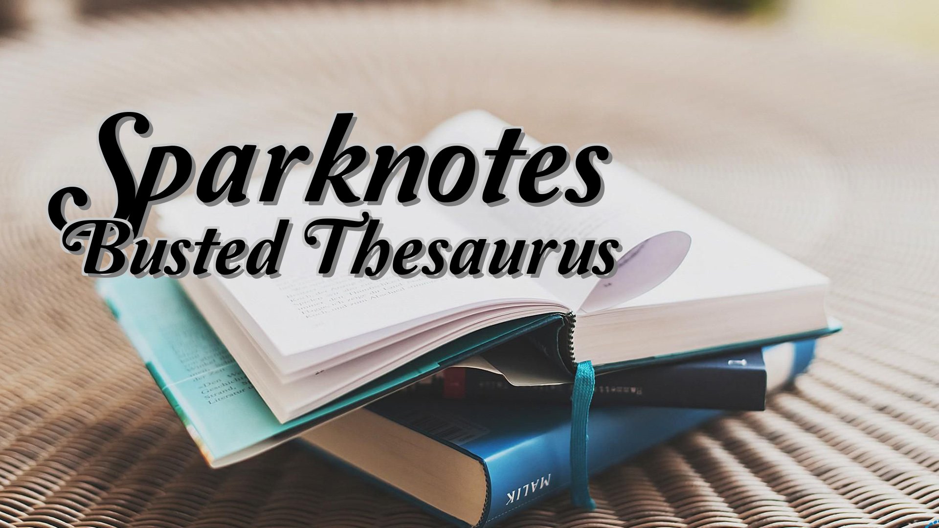 cover-Sparknotes Busted Thesaurus