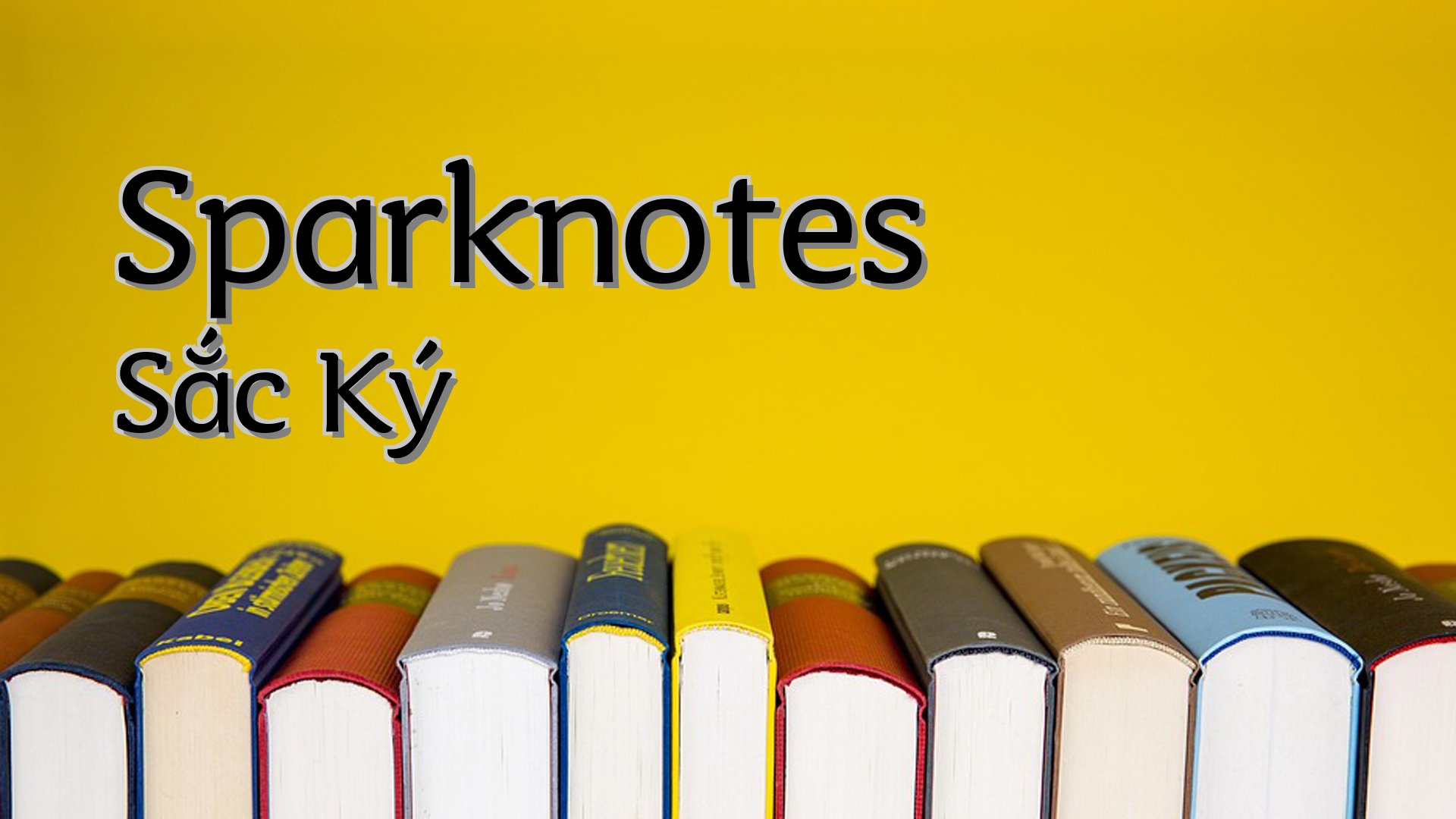 cover-Sparknotes Sắc Ký