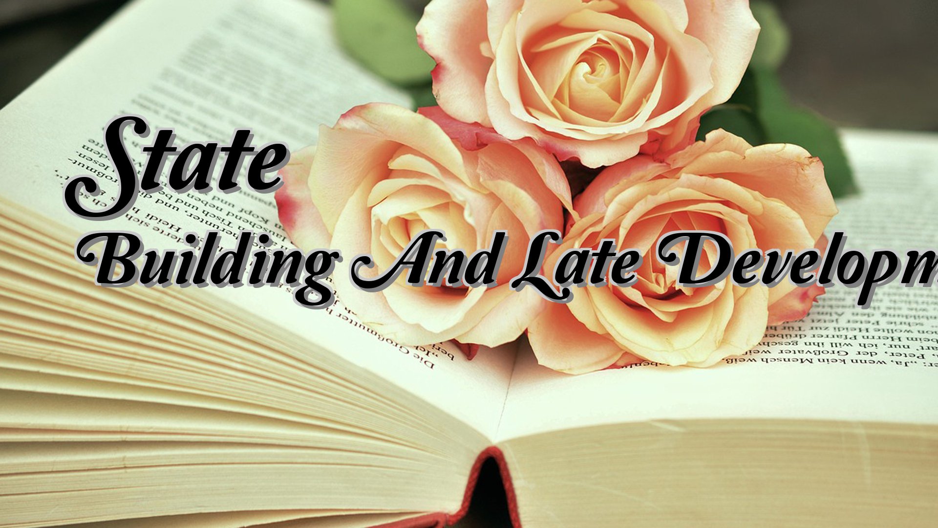 Cover image for State Building And Late Development