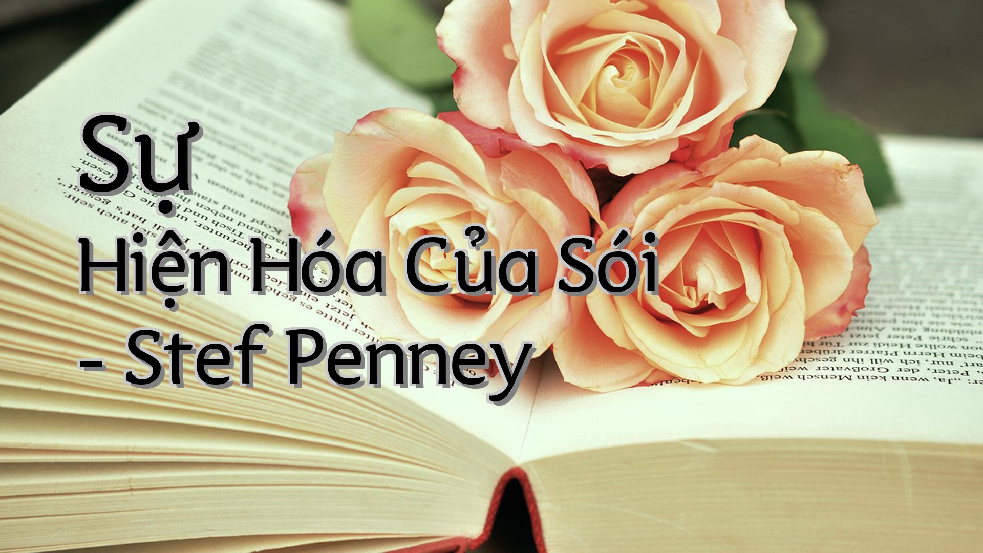 cover-Sự Hiện Hóa Của Sói - Stef Penney