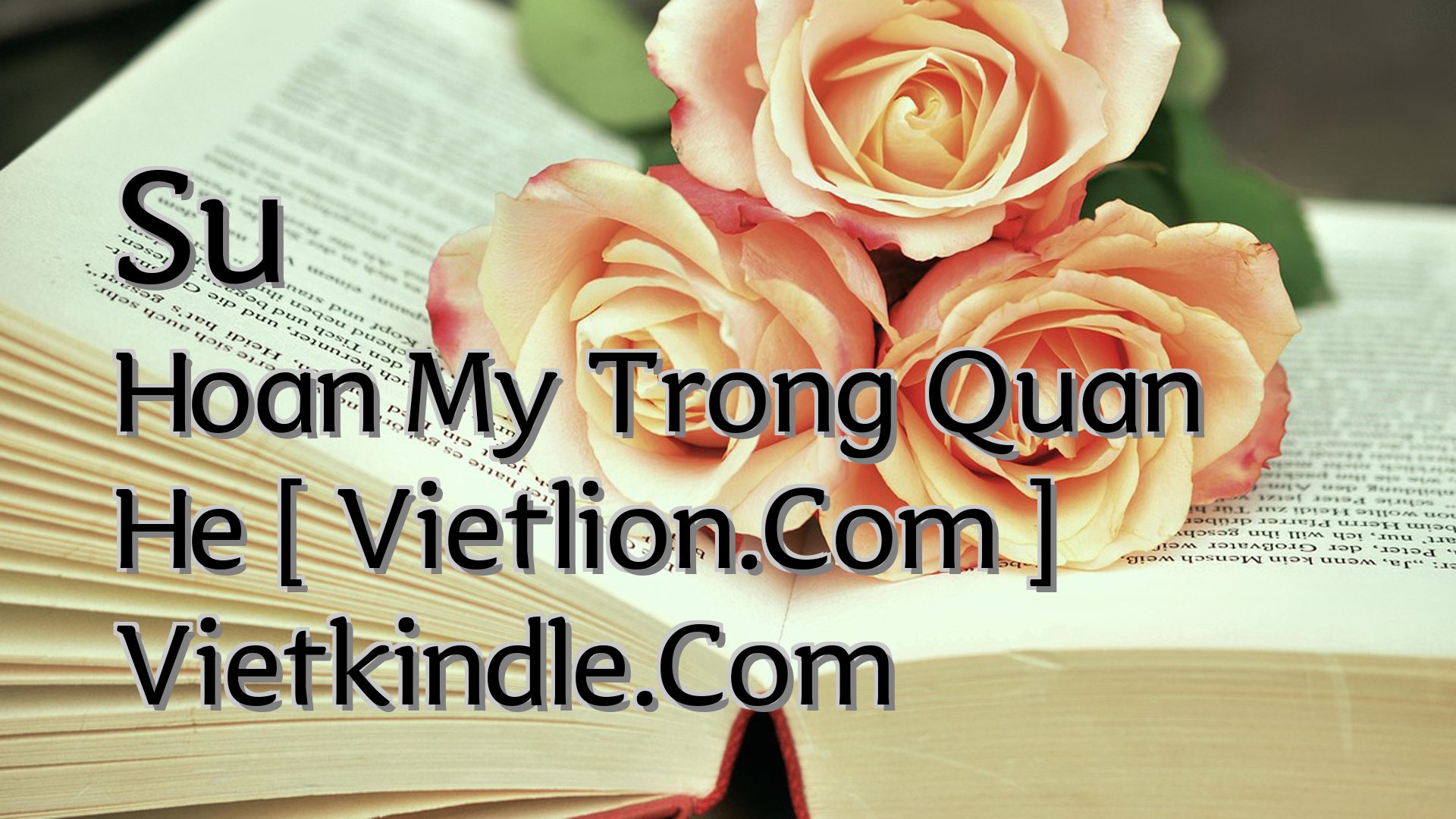 cover-Su Hoan My Trong Quan He [ Vietlion.Com ] Vietkindle.Com