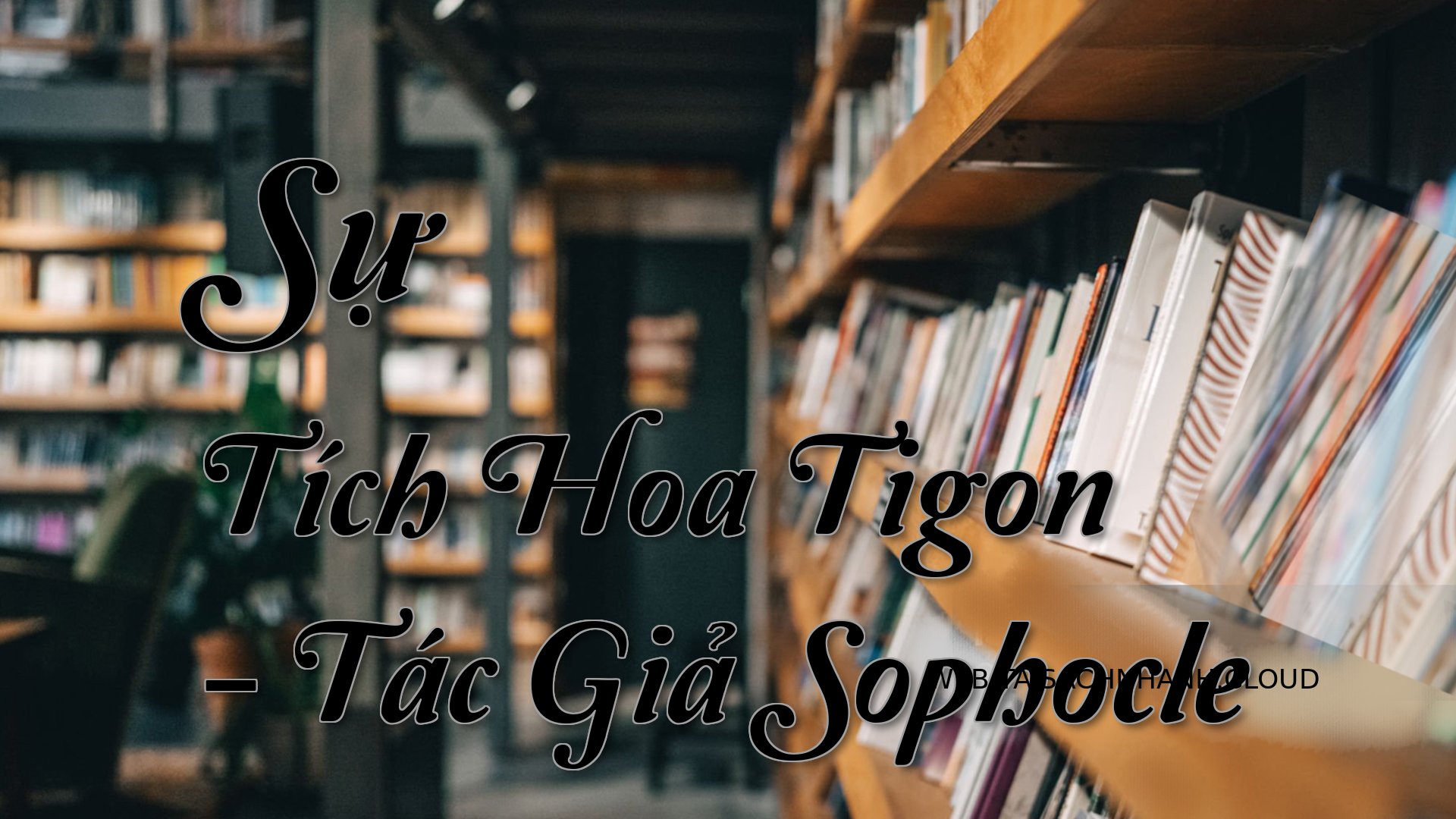 Cover Su Tich Hoa Tigon.jpg