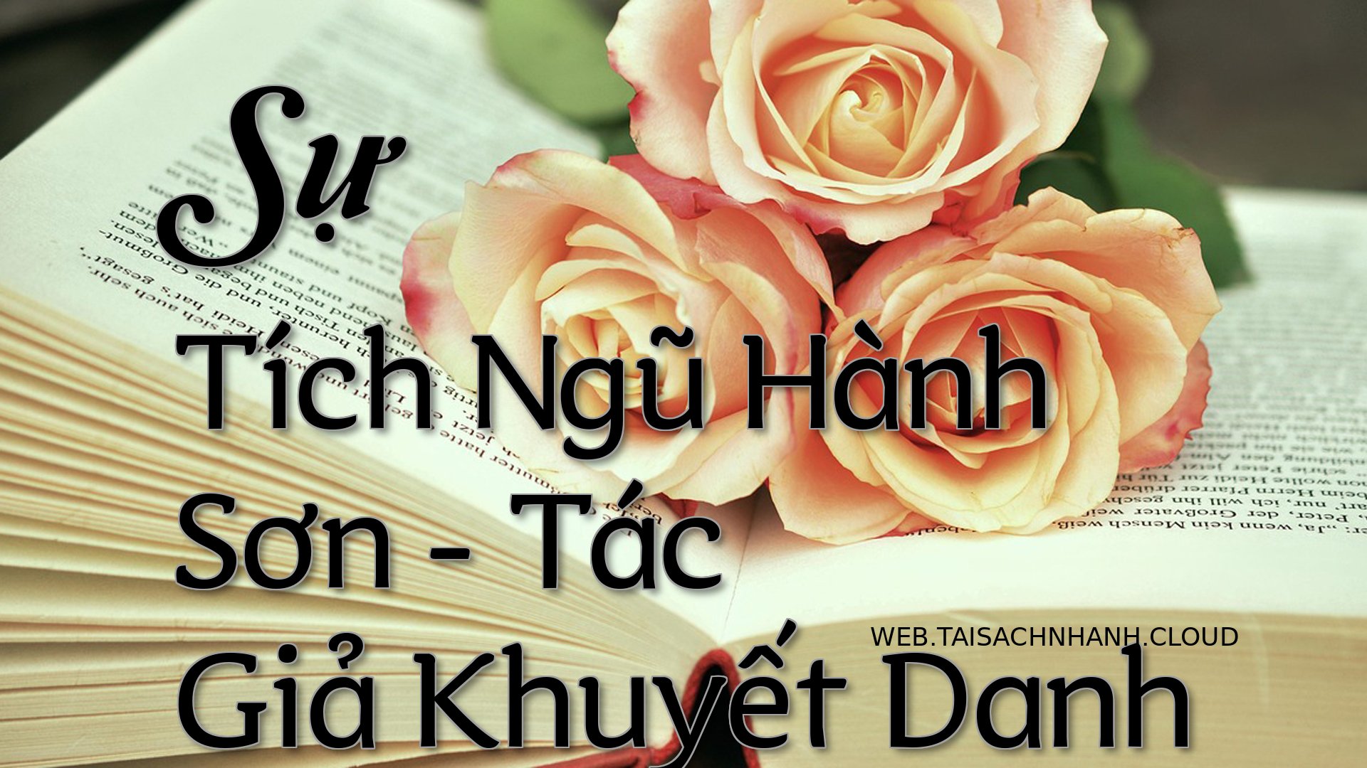 Cover Su Tich Ngu Hanh Son.jpg