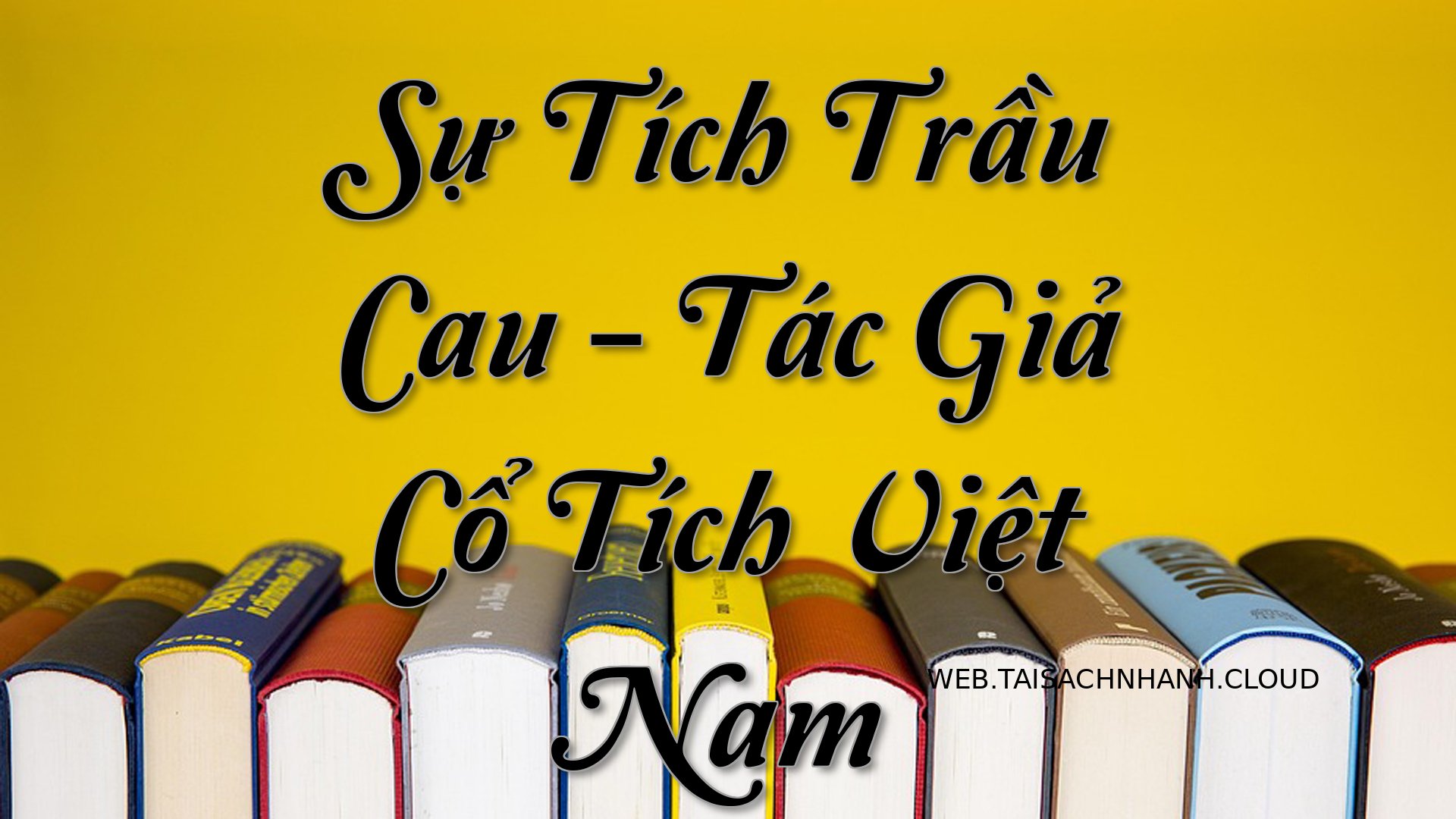 Cover Su Tich Trau Cau.jpg