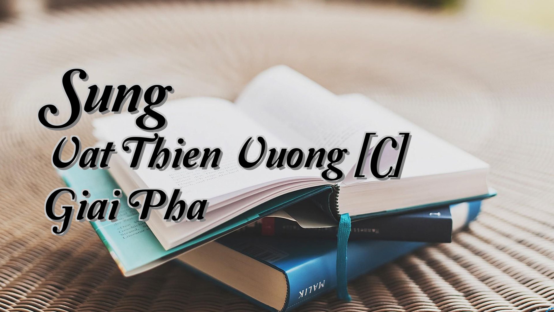 Cover image for Sung Vat Thien Vuong [C] Giai Pha