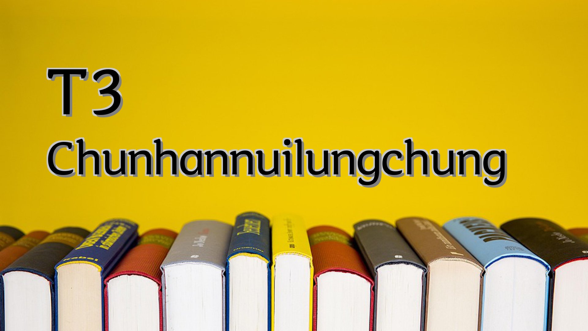 Cover image for T3 Chunhannuilungchung