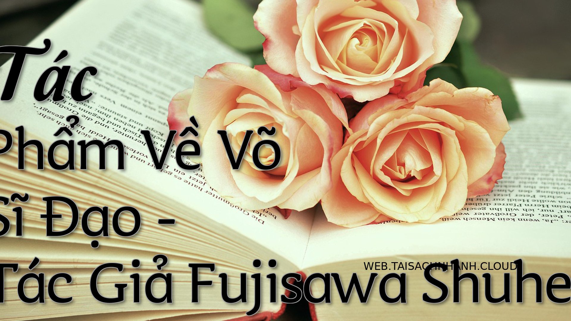 Cover Tac Pham Ve Vo Si Da.jpg