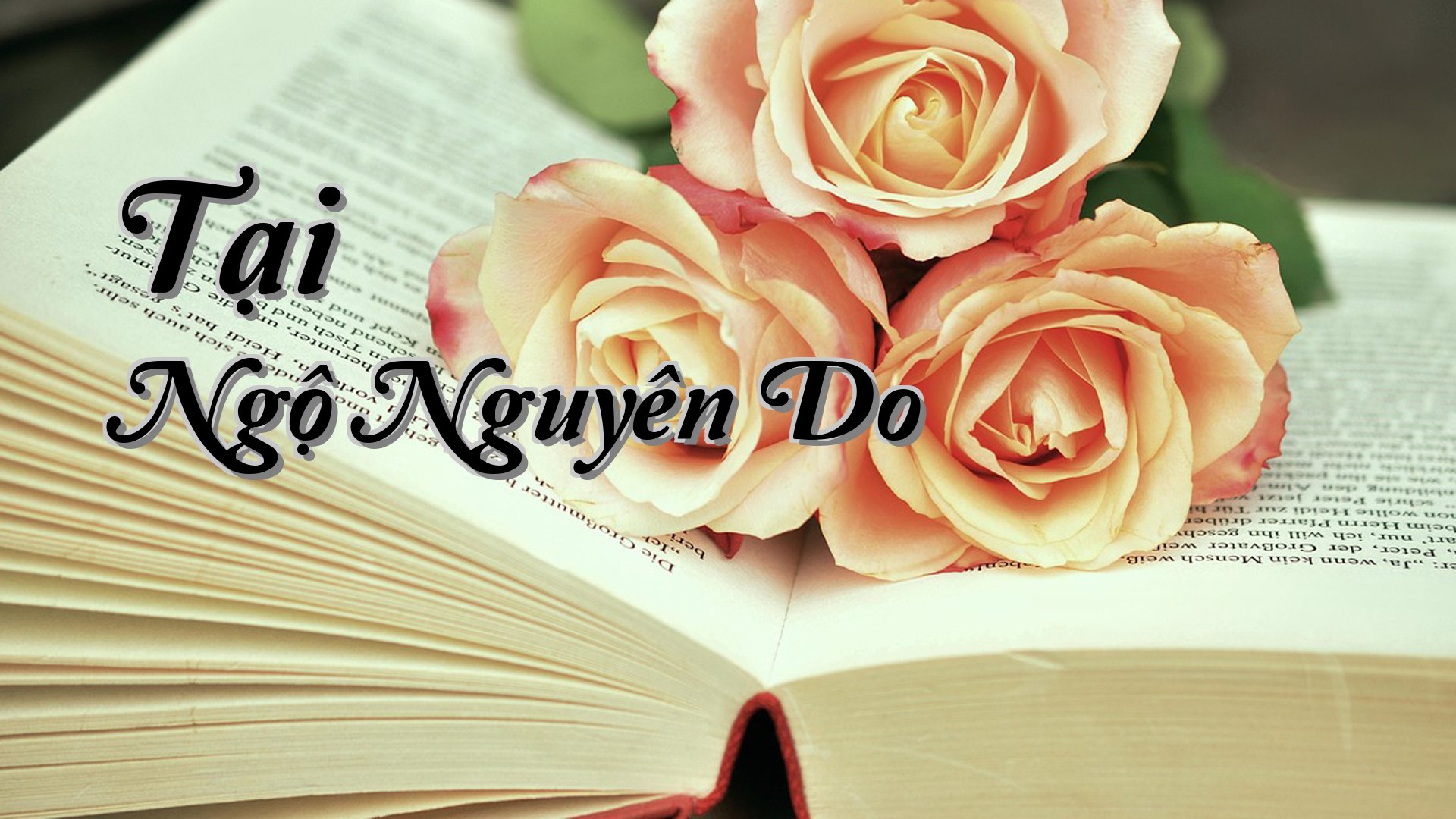 cover-Tại Ngộ Nguyên Do