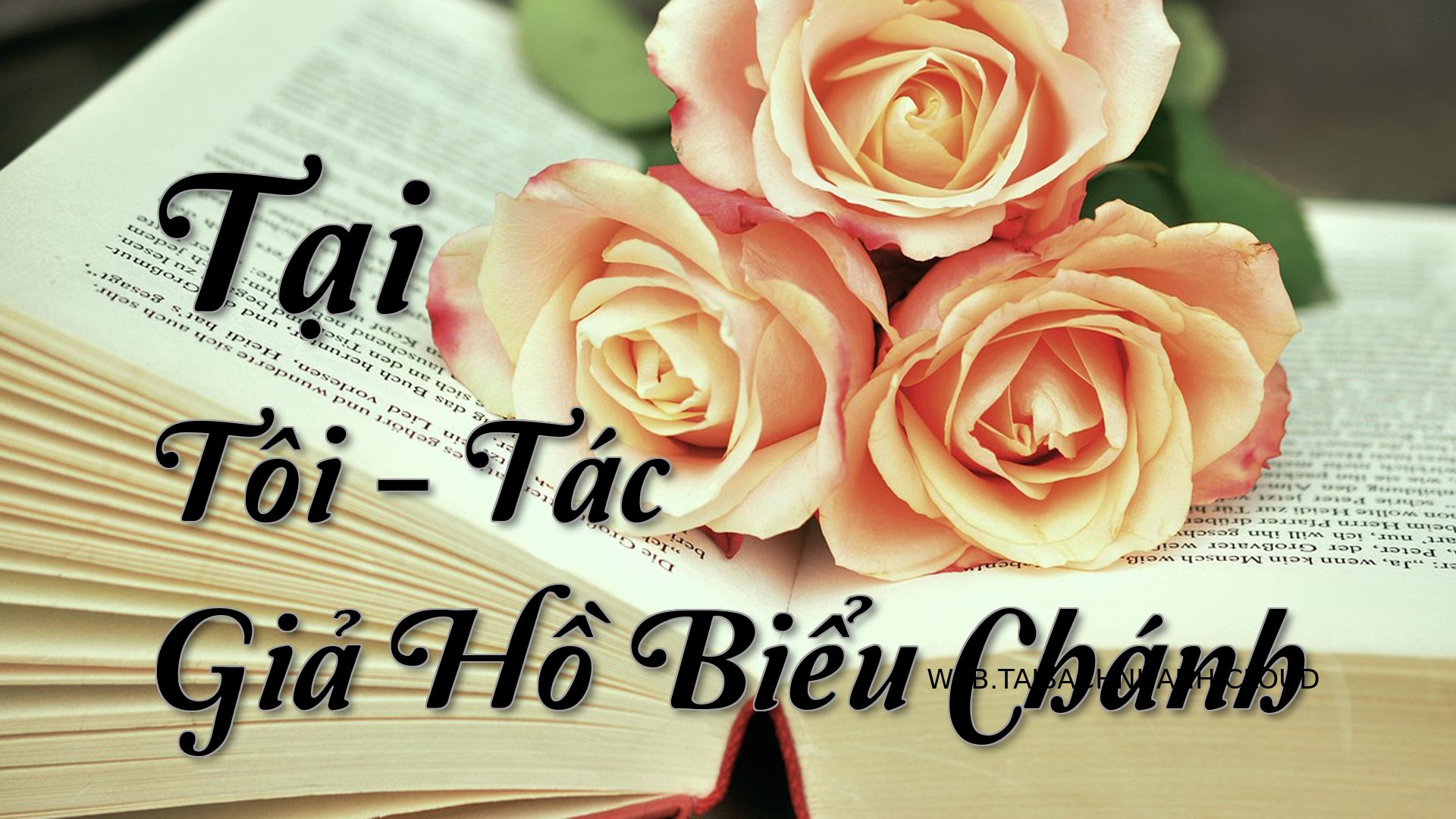 Cover Tai Toi.jpg
