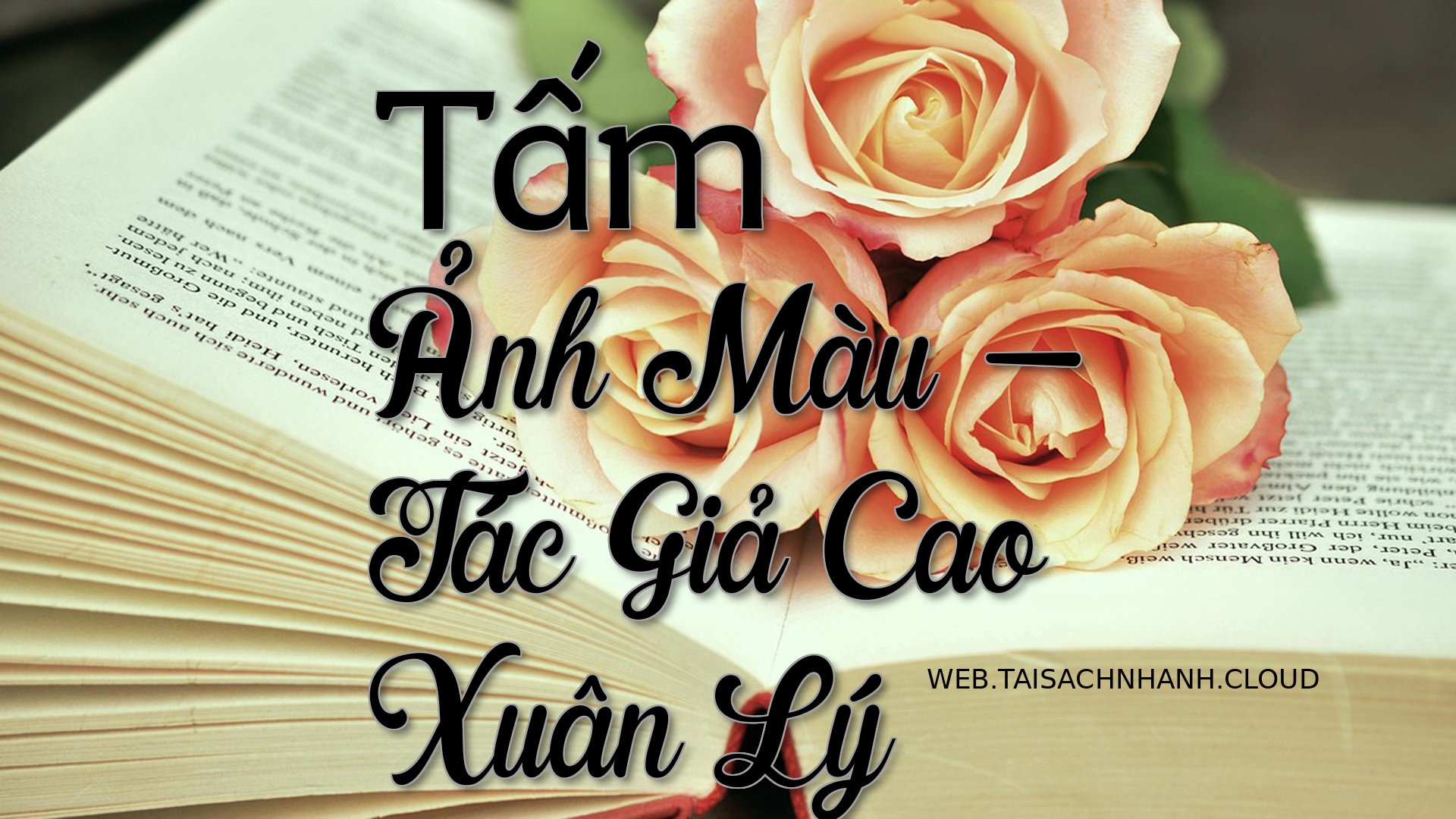 Cover Tam Anh Mau.jpg