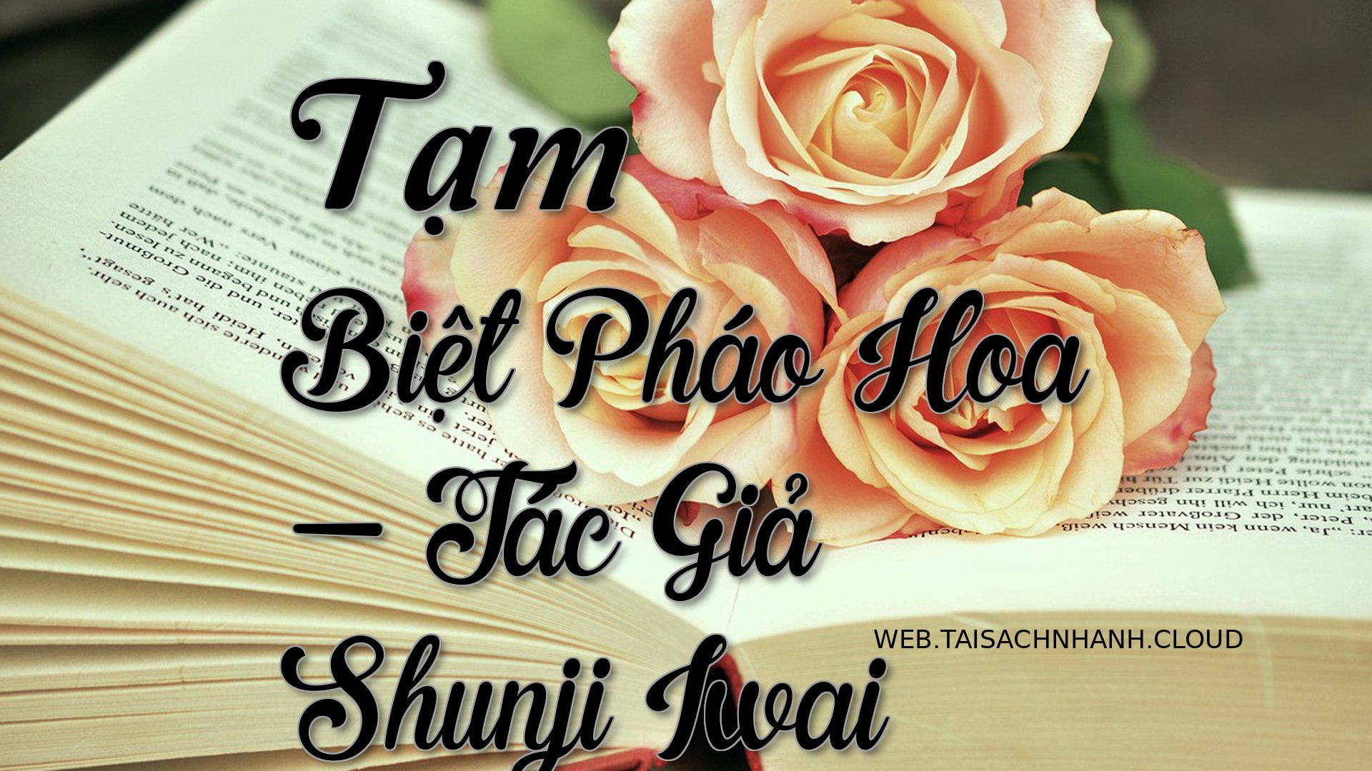 Cover Tam Biet Phao Hoa.jpg