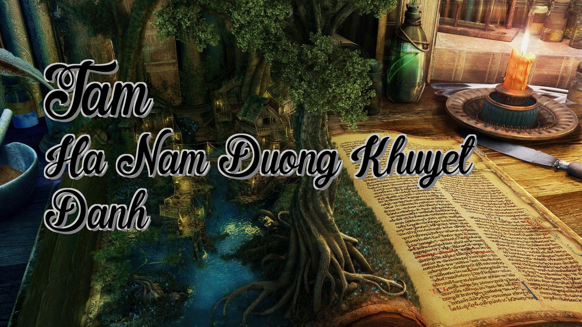 Cover image for Tam Ha Nam Duong Khuyet Danh