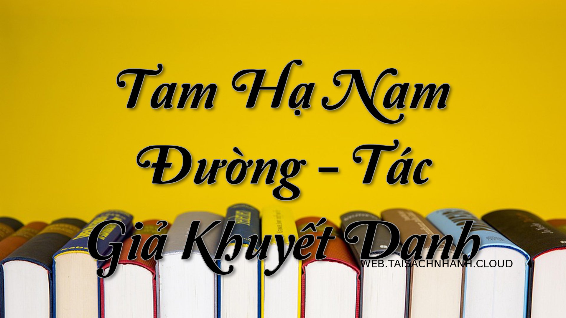 Cover Tam Ha Nam Duong.jpg