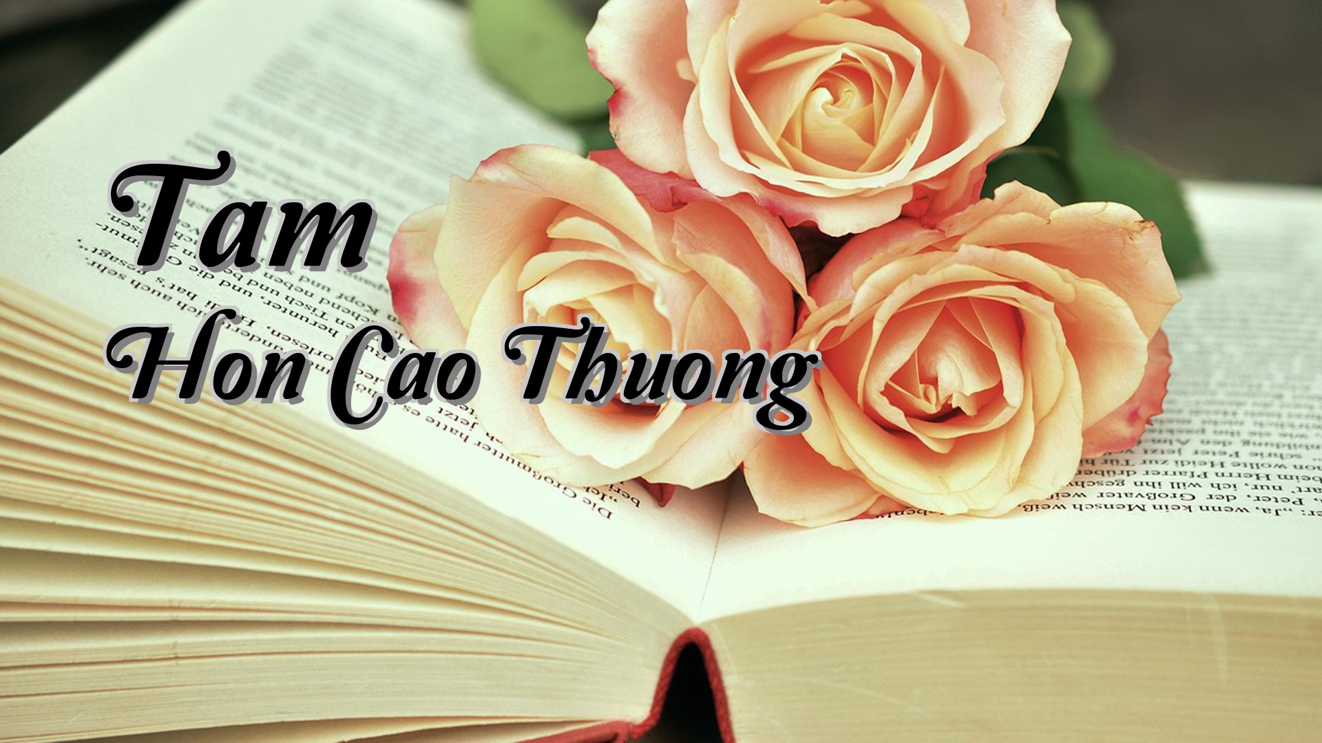 Cover image for Tam Hon Cao Thuong