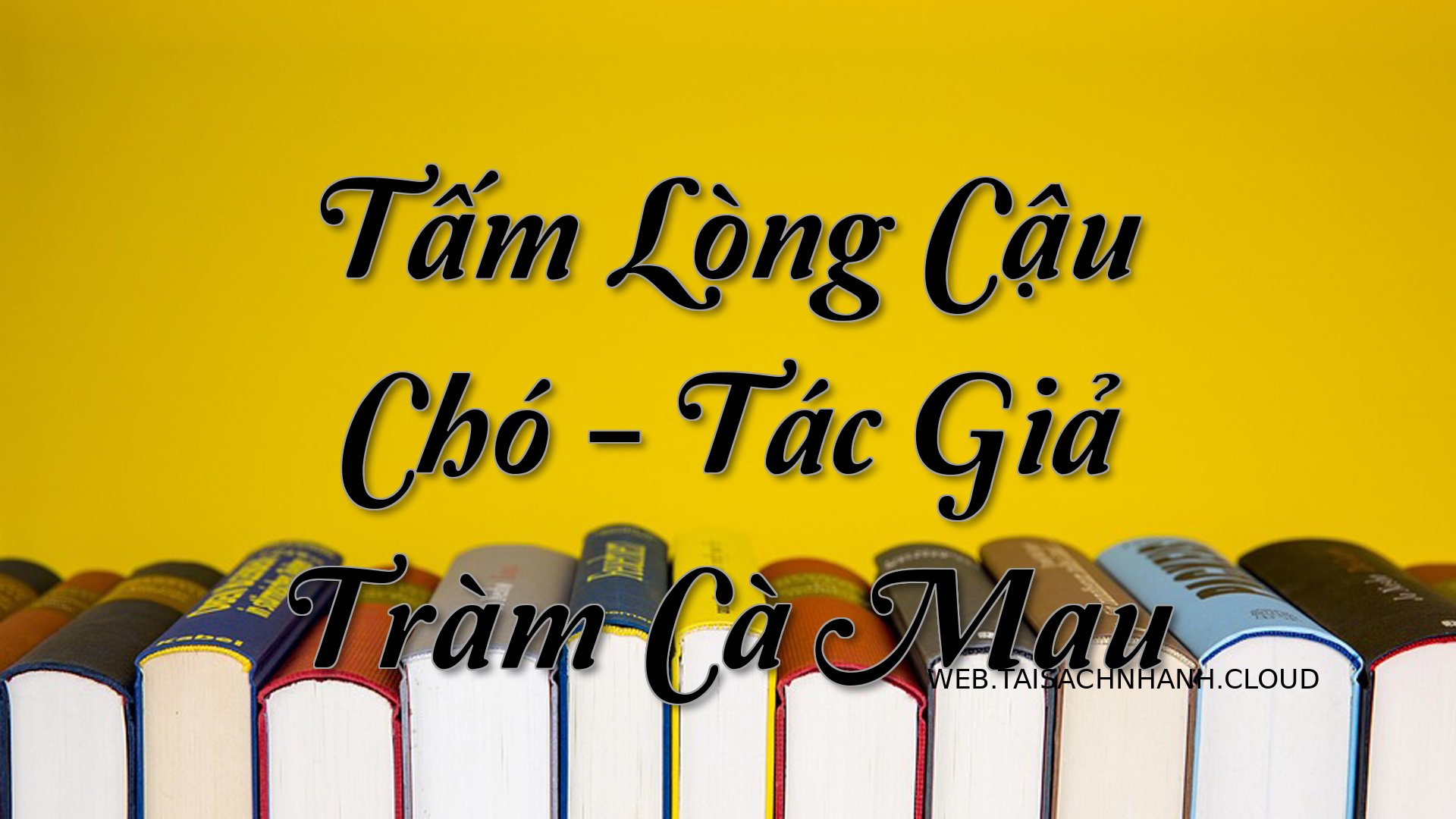 Cover Tam Long Cau Cho.jpg