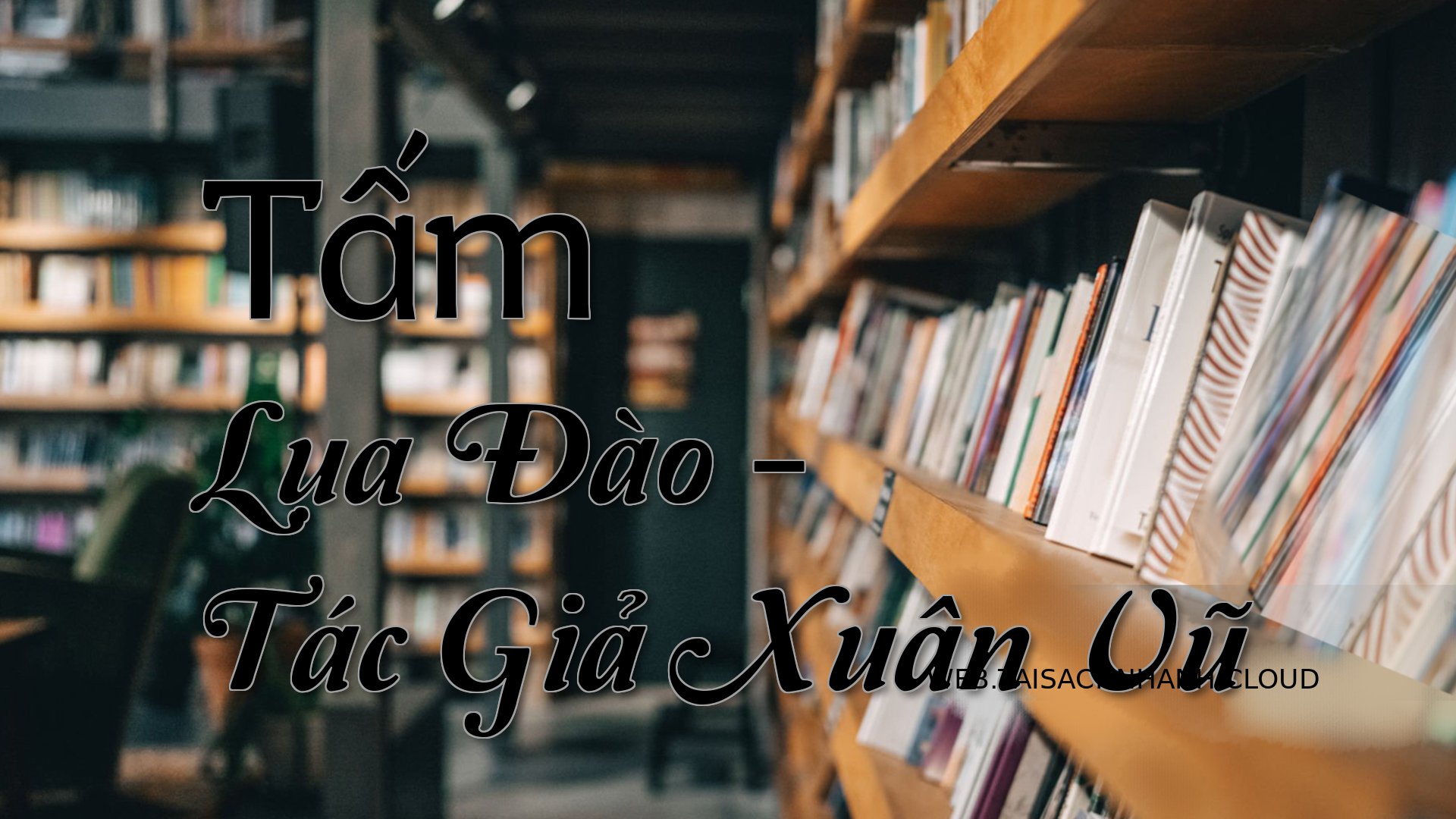Cover Tam Lua Dao.jpg