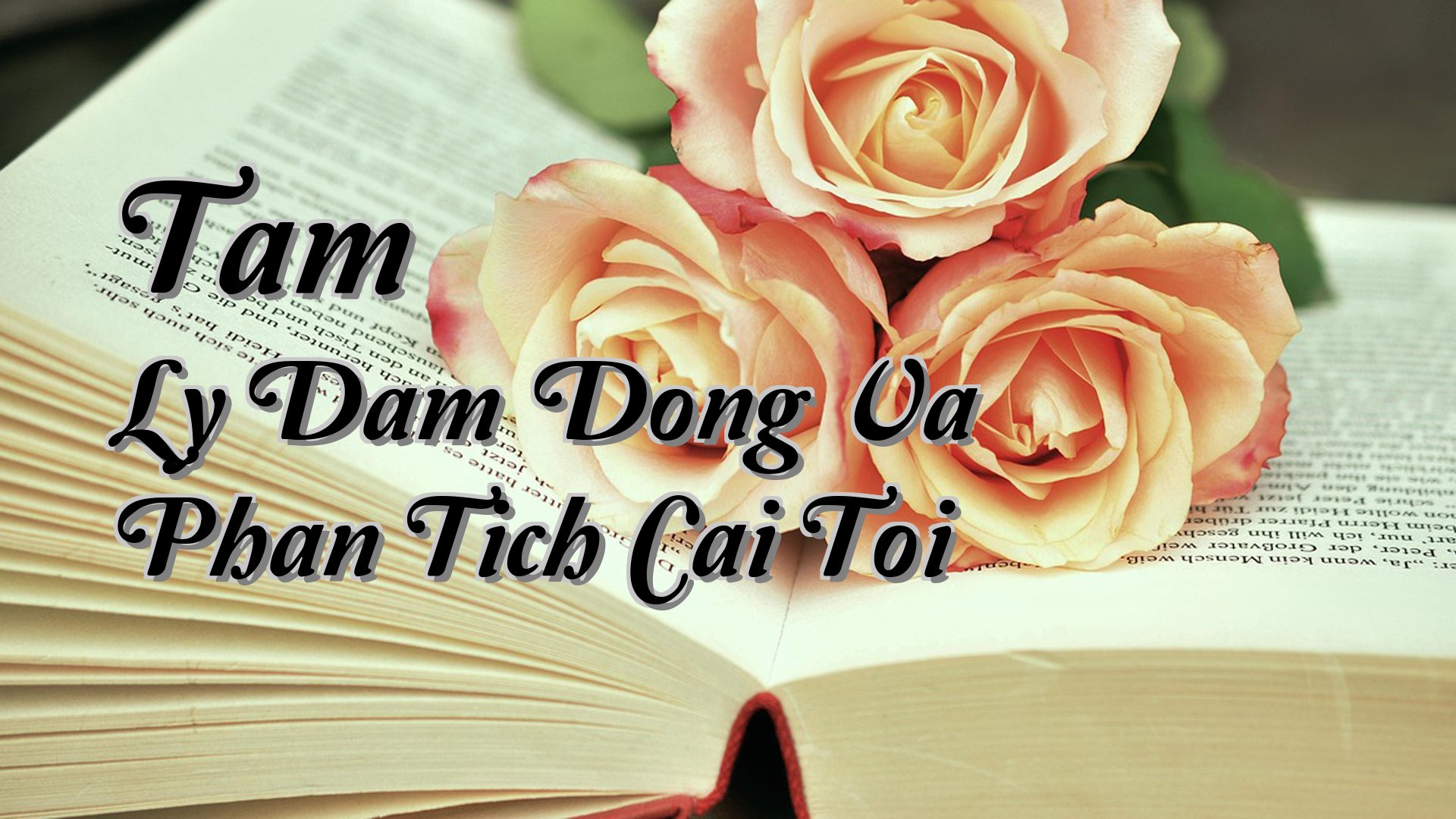 Cover image for Tam Ly Dam Dong Va Phan Tich Cai Toi