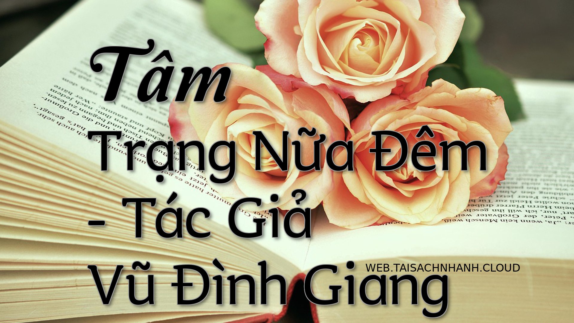 Cover Tam Trang Nua Dem.jpg