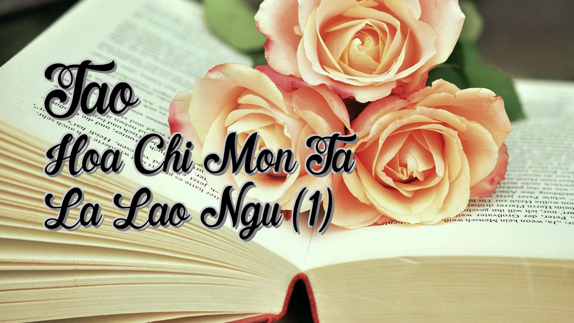 Cover image for Tao Hoa Chi Mon Ta La Lao Ngu (1)