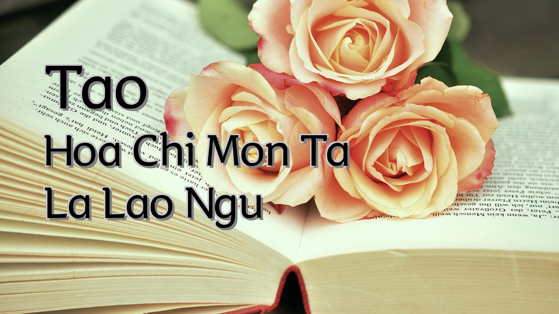 Cover image for Tao Hoa Chi Mon Ta La Lao Ngu