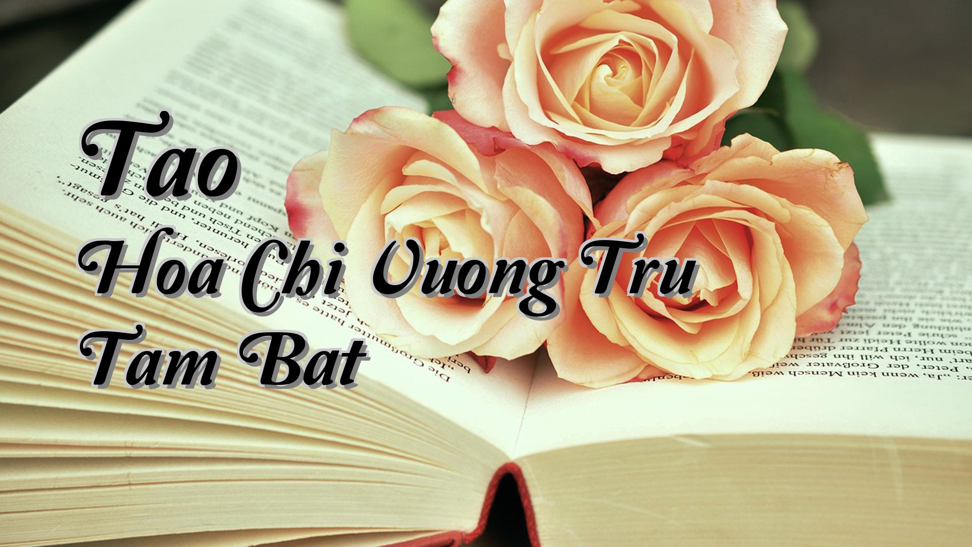 cover-Tao Hoa Chi Vuong Tru Tam Bat