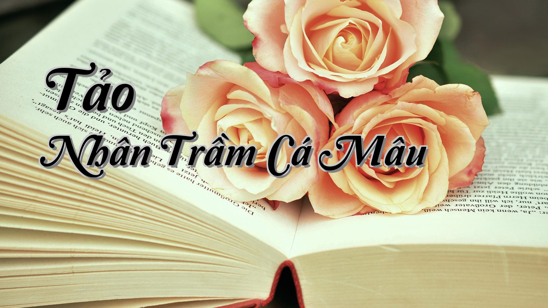 cover-Tảo Nhân Trầm Cá Mâu