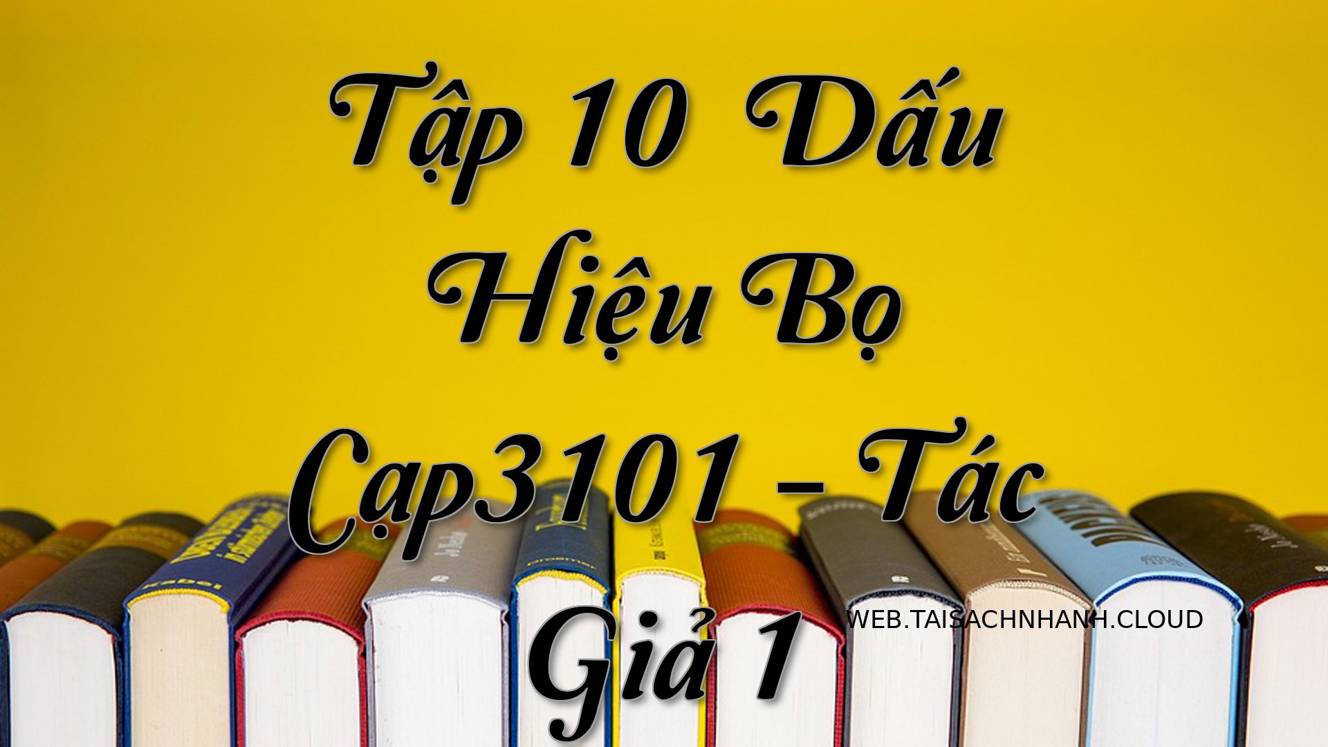Cover Tap 10： Dau Hieu Bo .jpg