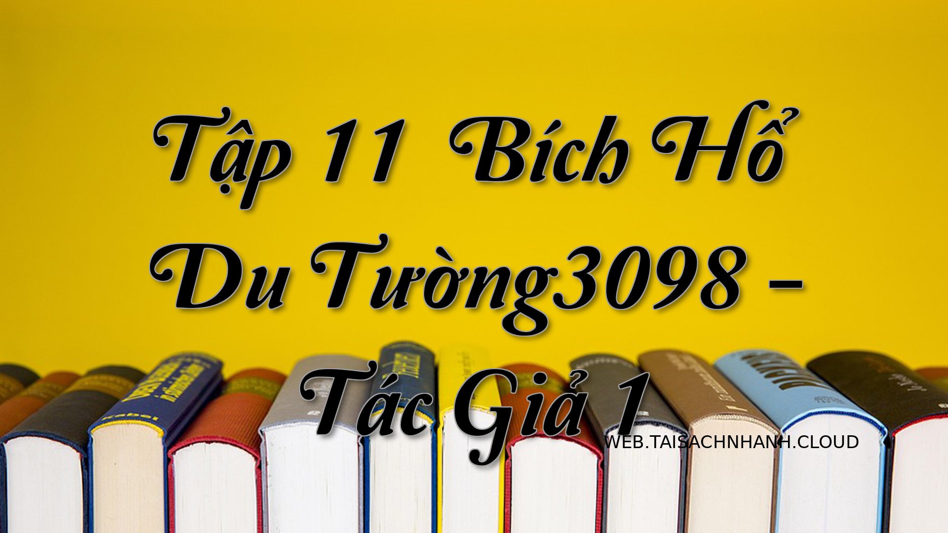 Cover Tap 11： Bich Ho Du T.jpg